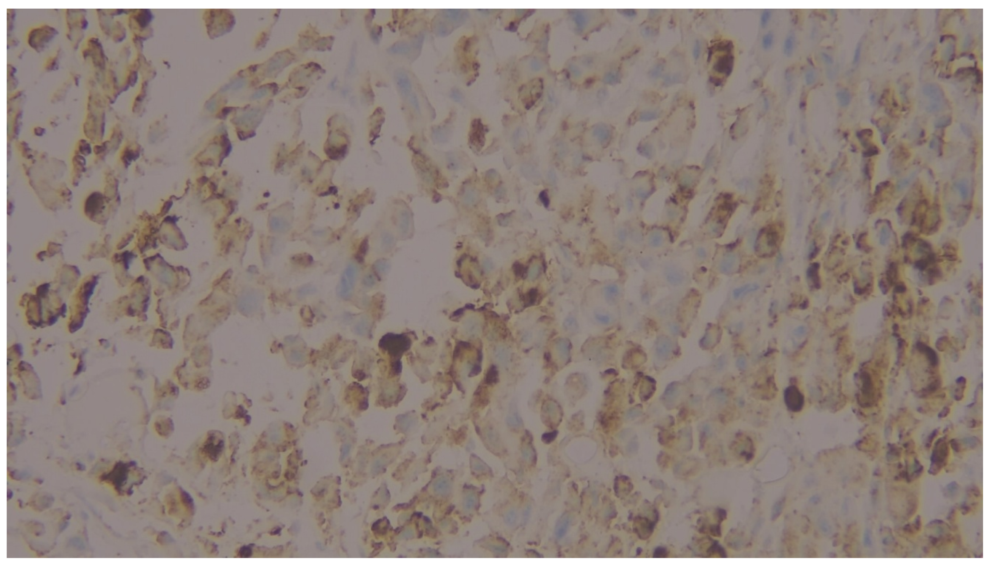 Preprints 201676 g001