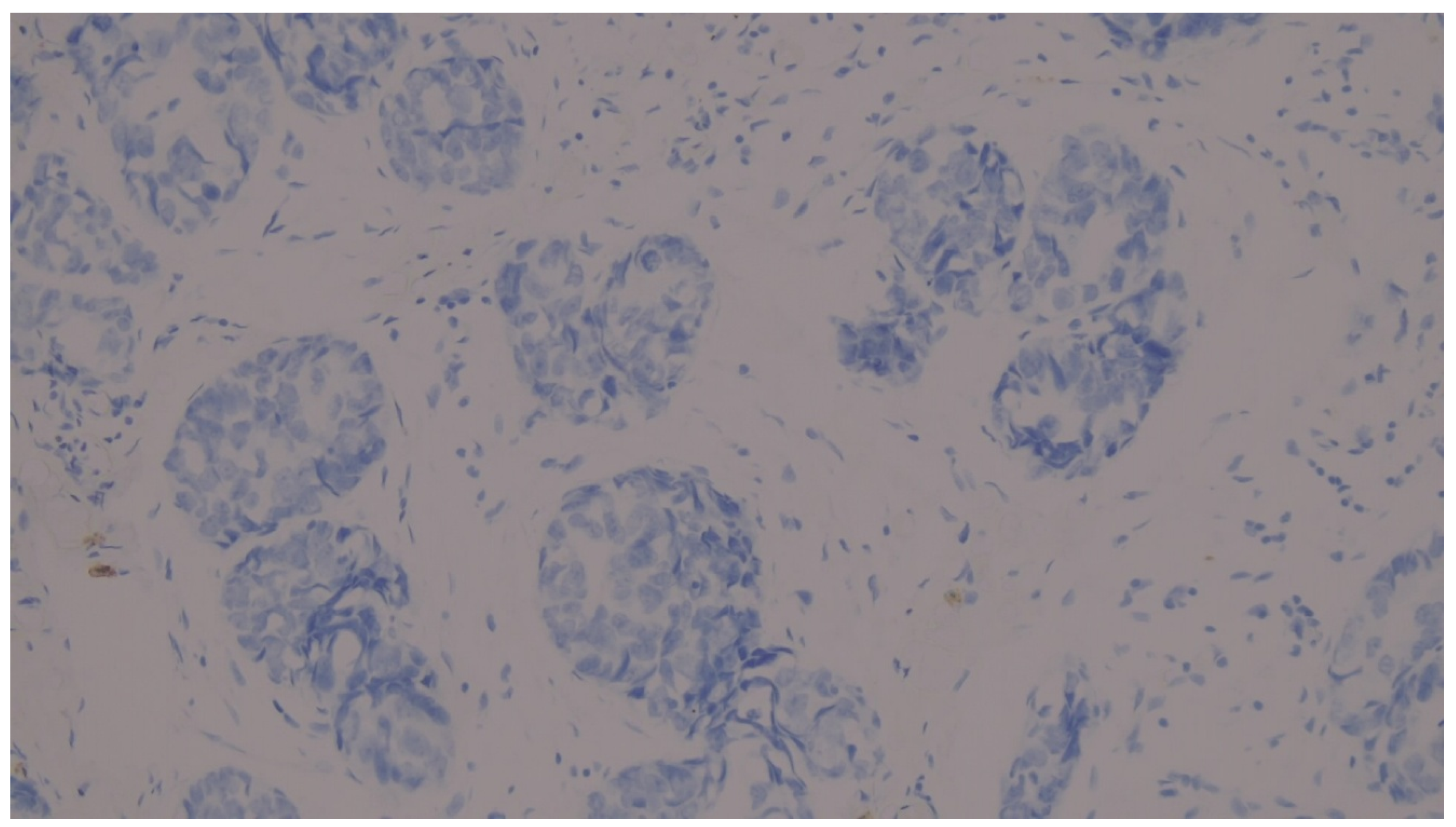 Preprints 201676 g003