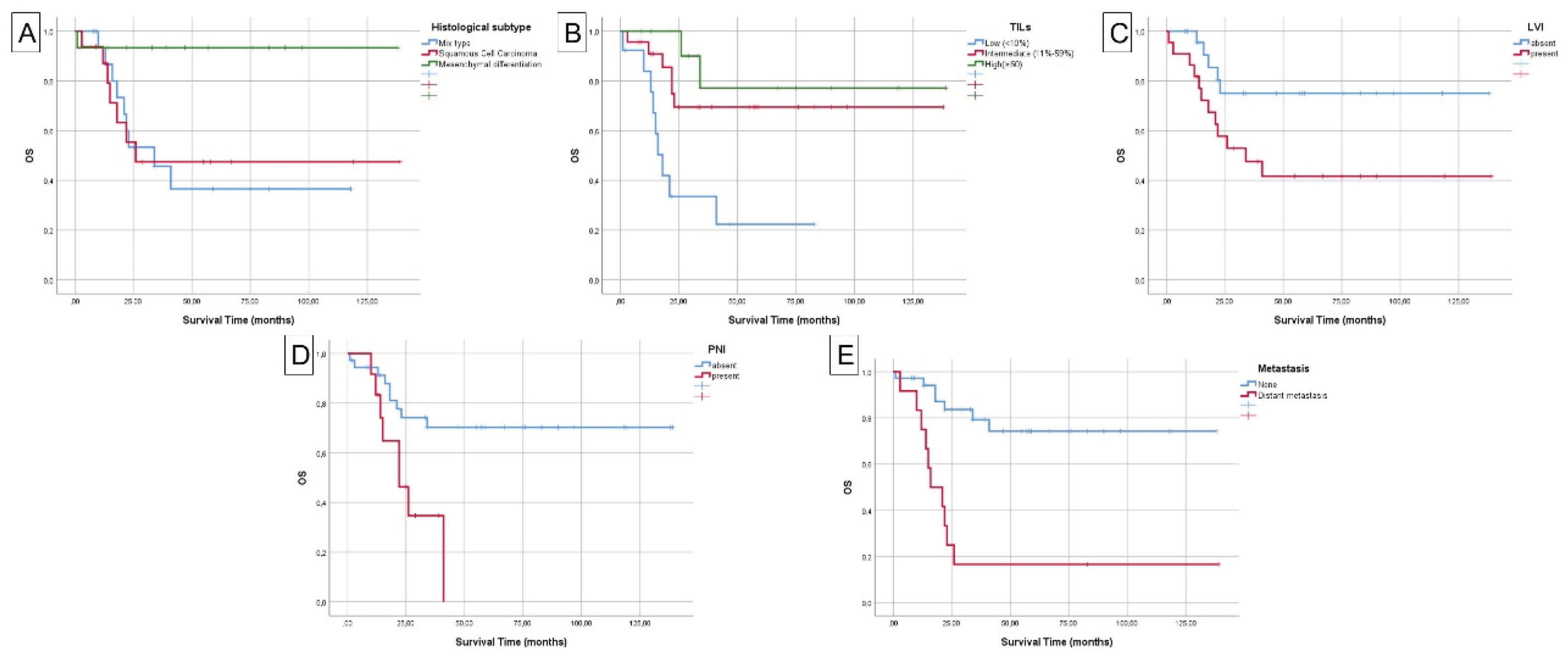 Preprints 201676 g007