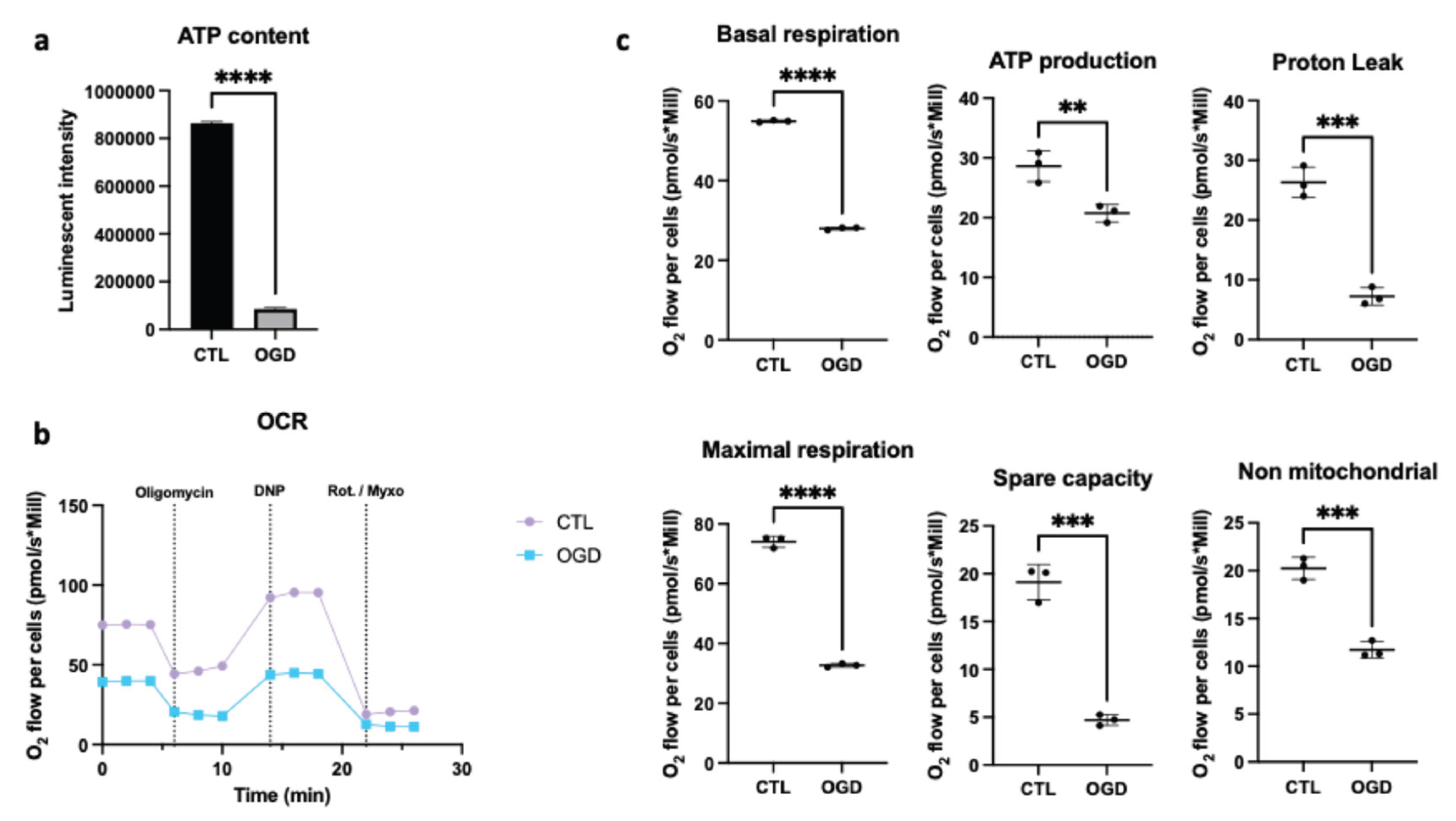 Preprints 188615 g002