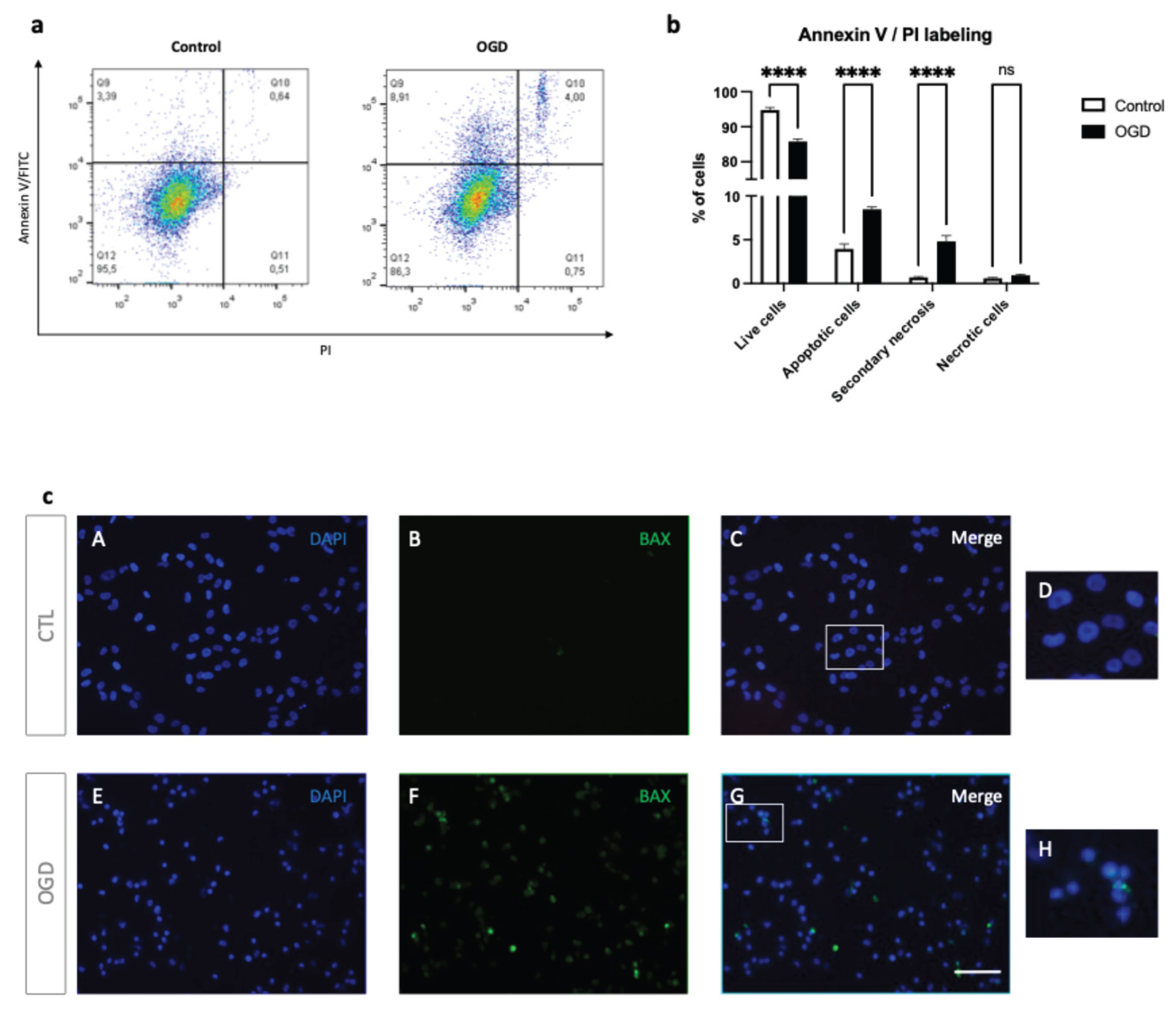 Preprints 188615 g004