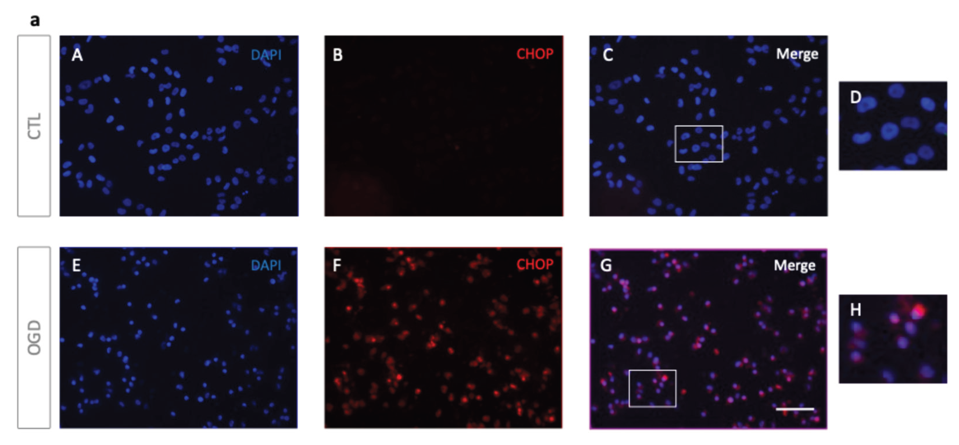 Preprints 188615 g005a