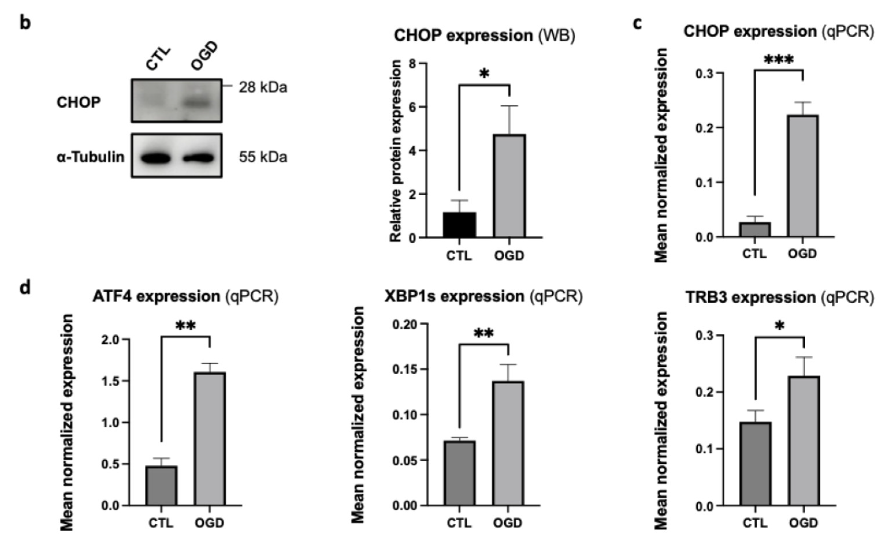 Preprints 188615 g005b