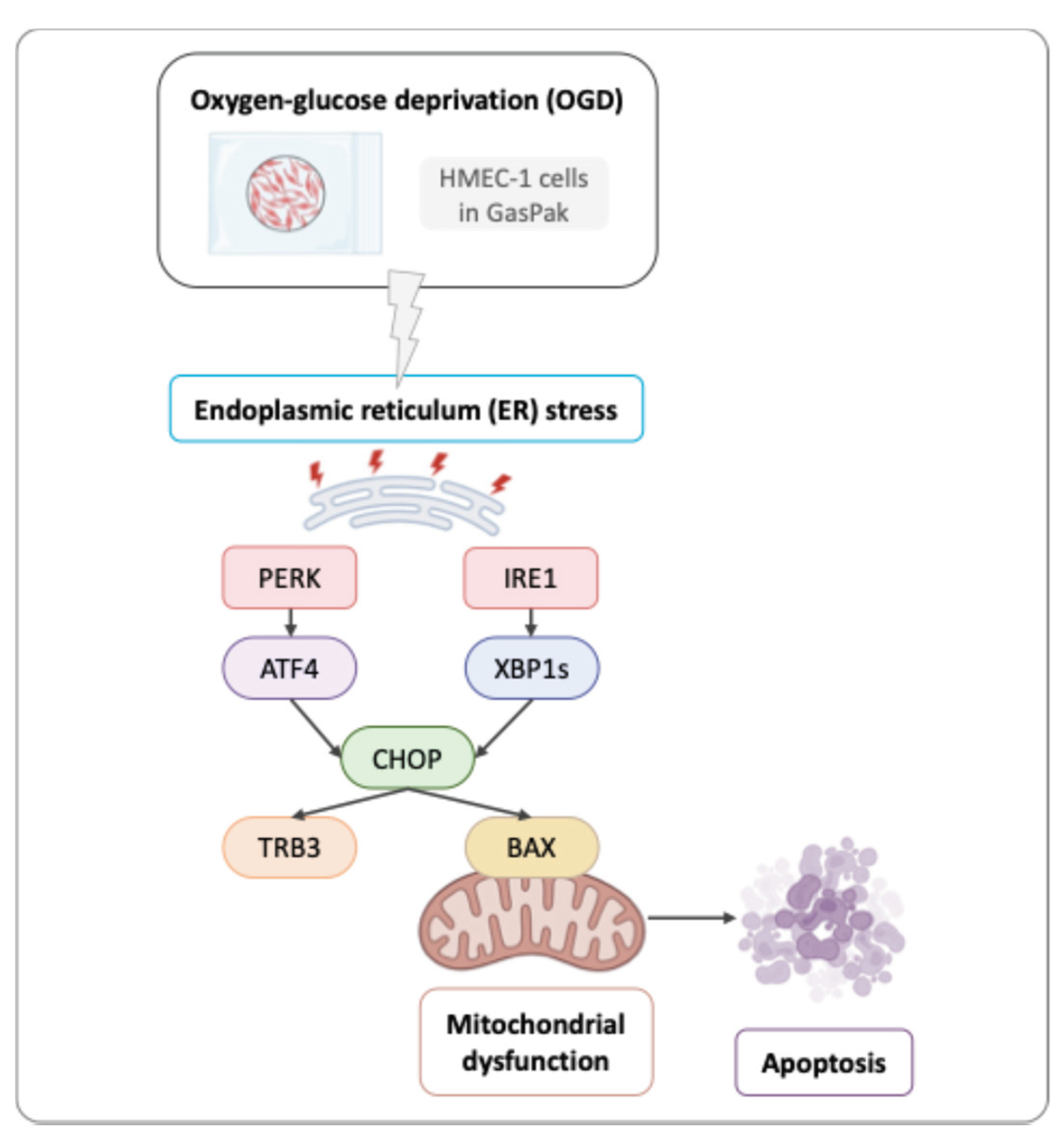 Preprints 188615 g006