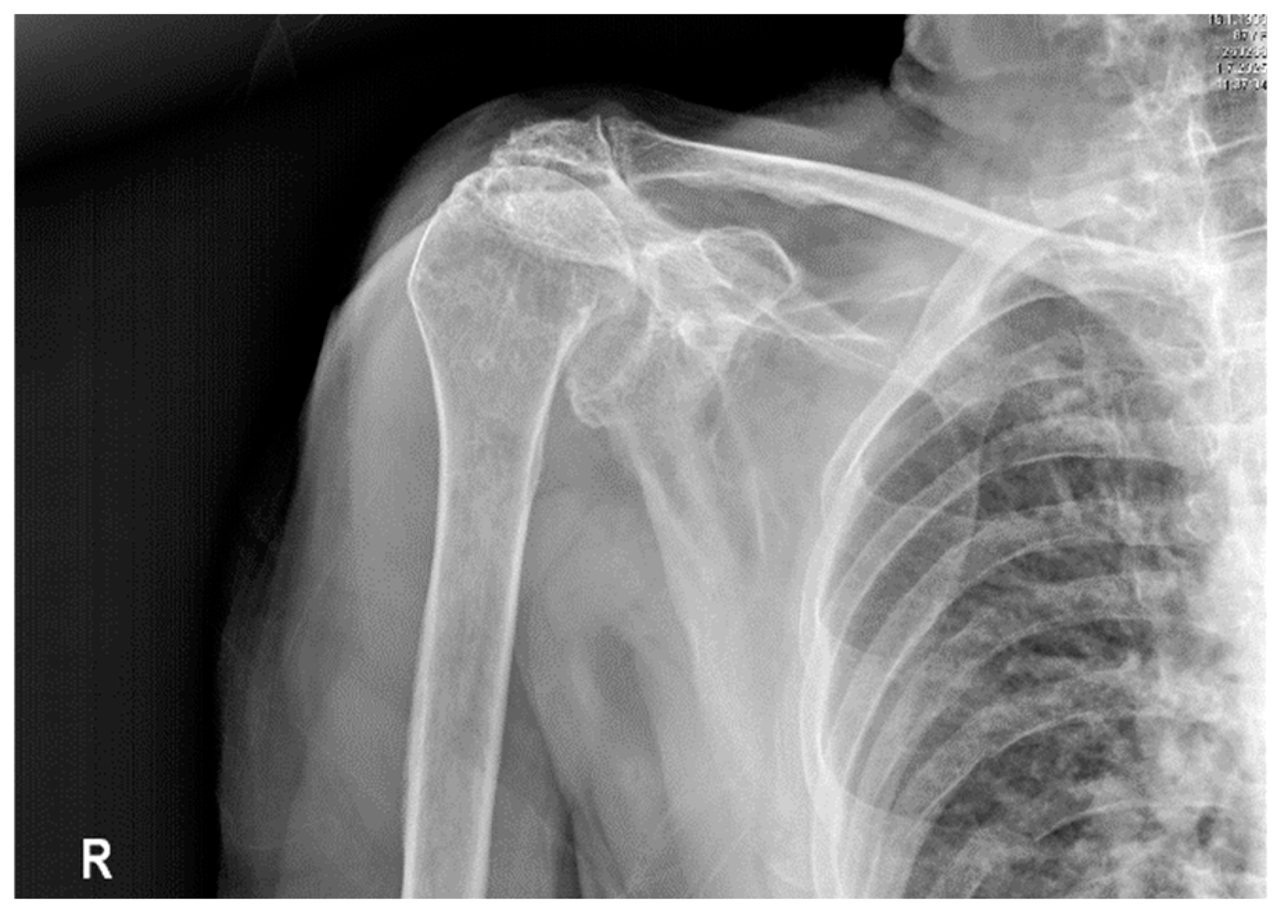 Preprints 176147 g001