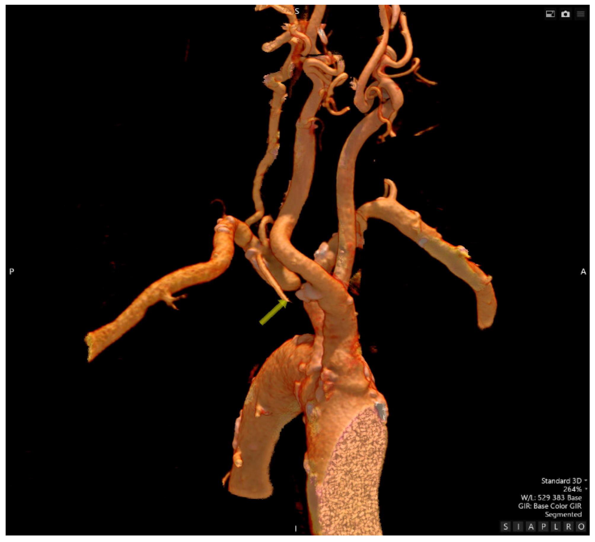 Preprints 176147 g004