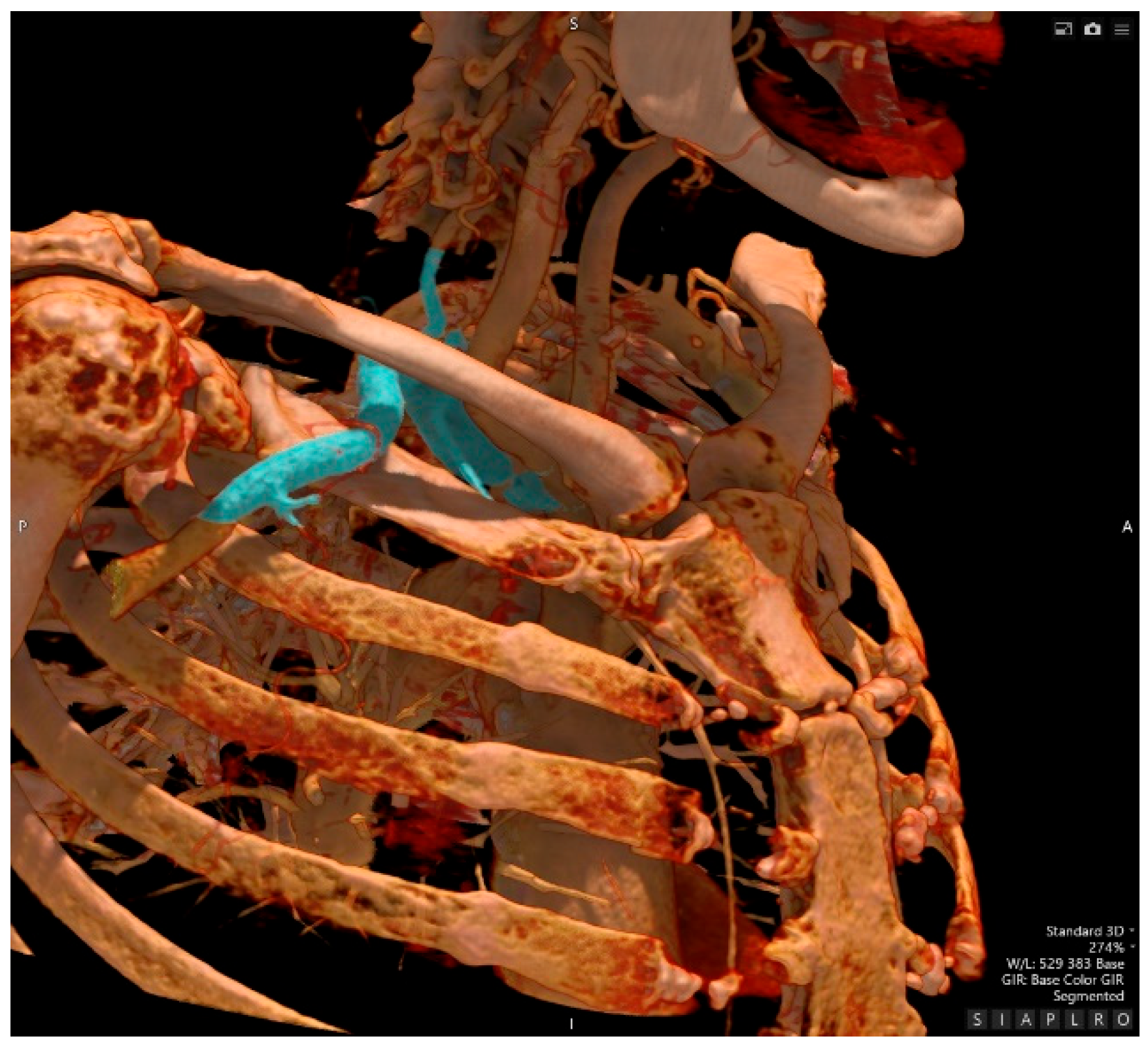 Preprints 176147 g005