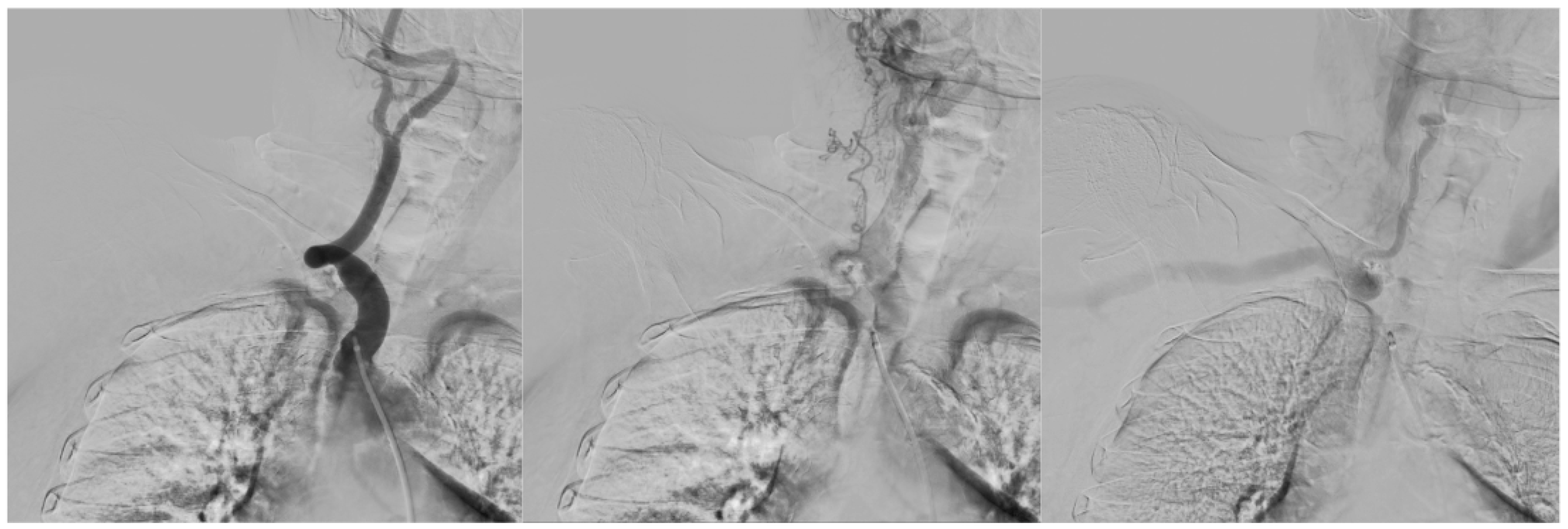 Preprints 176147 g006