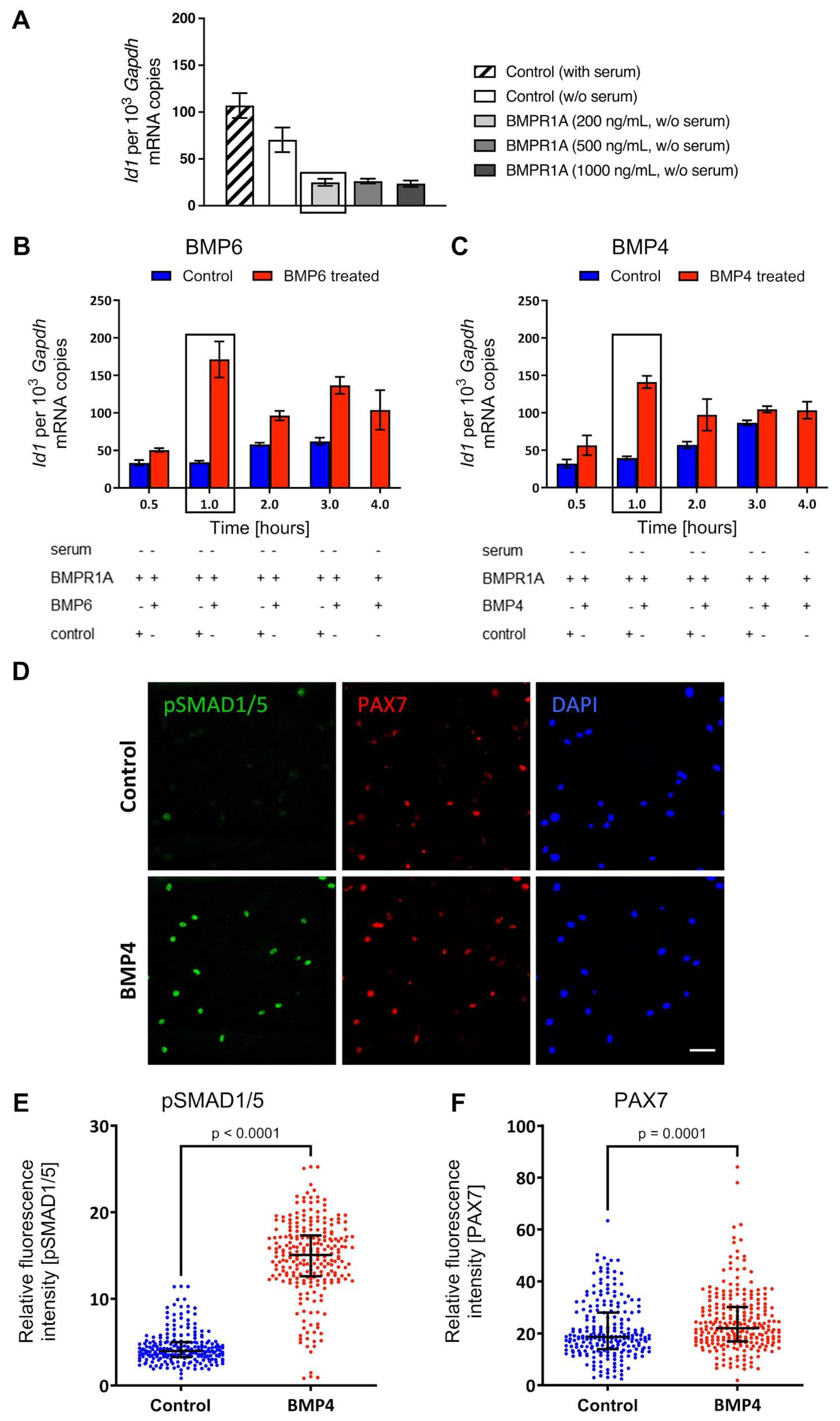 Preprints 203018 g001 Preprints 203018 g001
