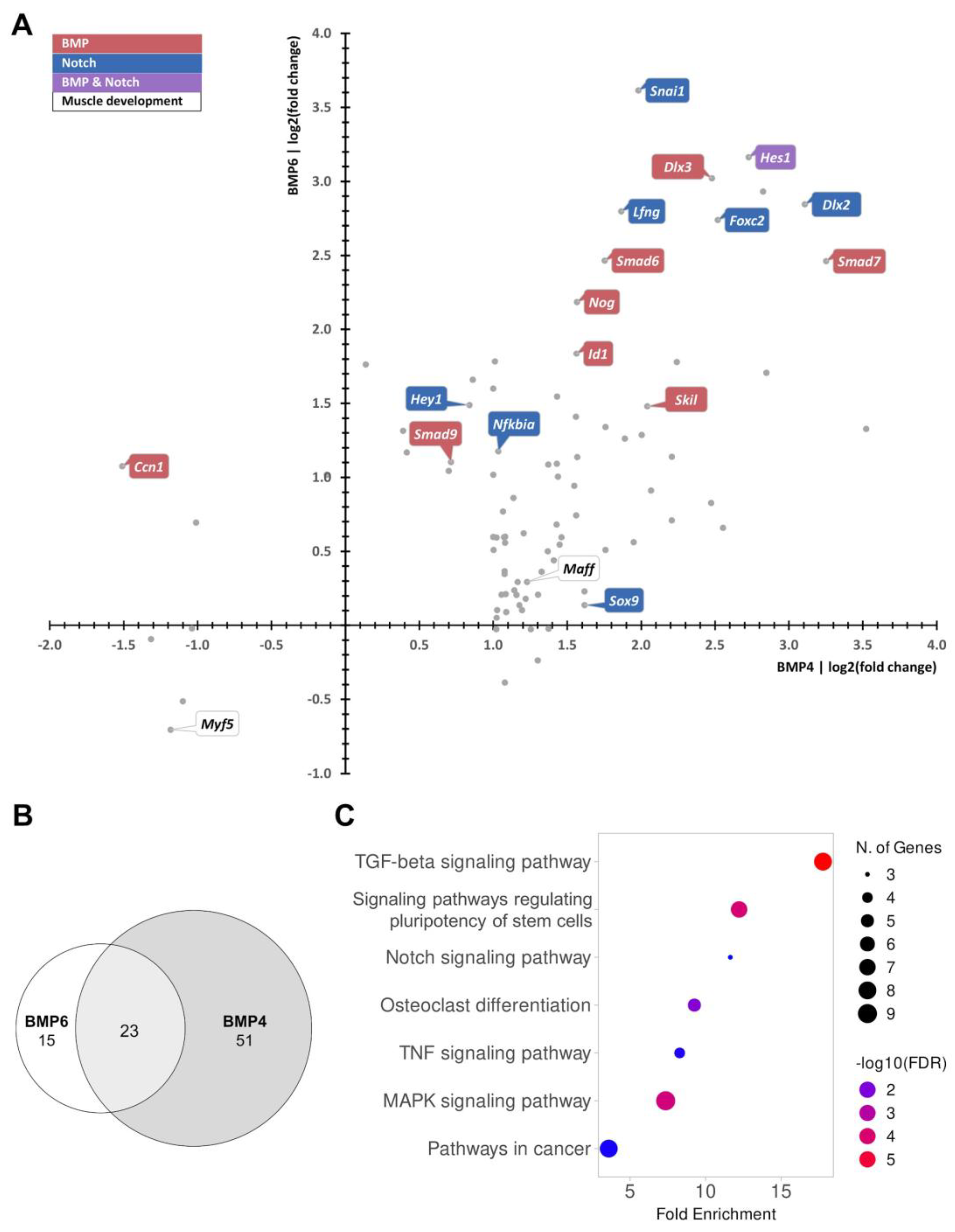 Preprints 203018 g002 Preprints 203018 g002