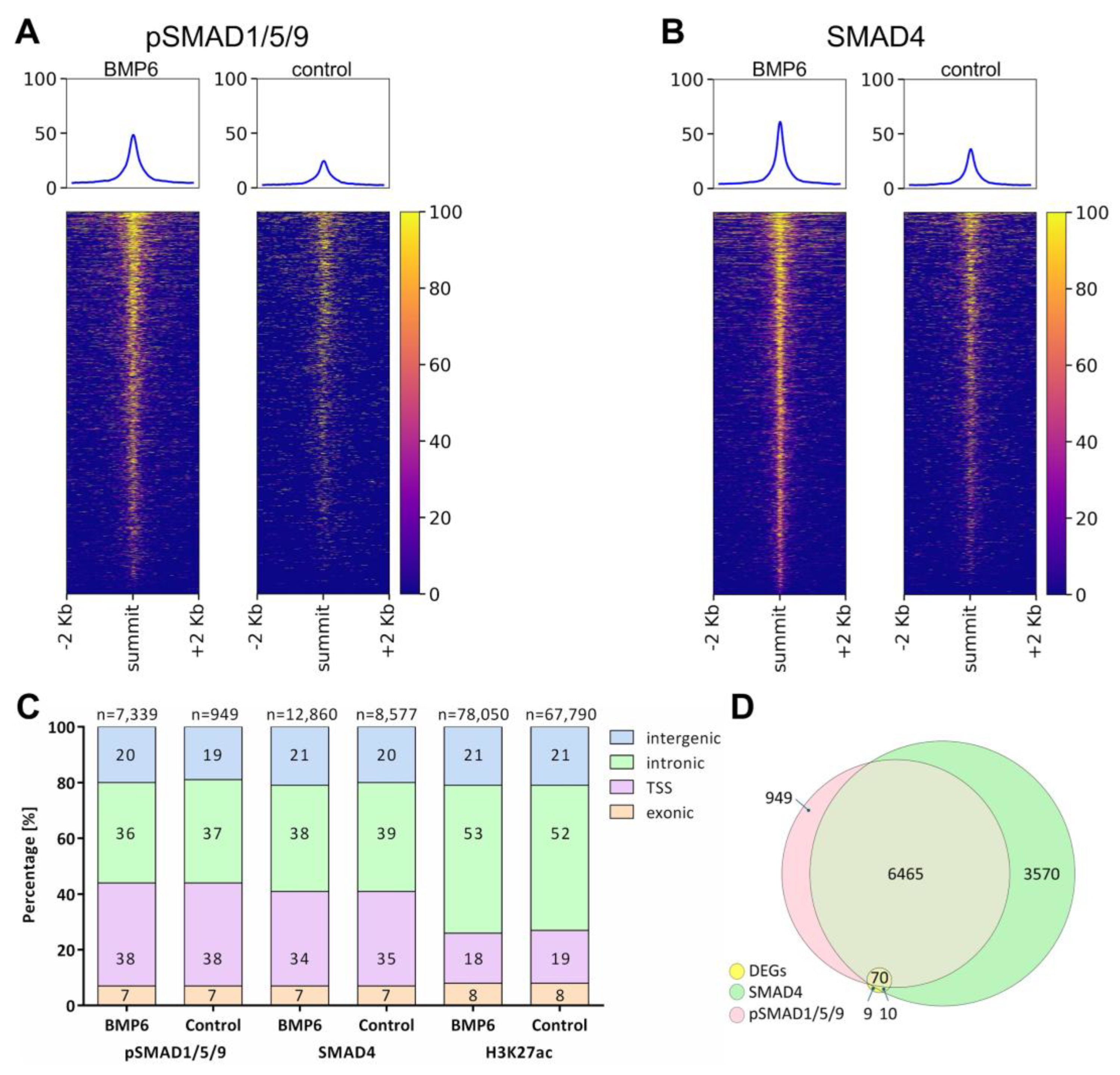 Preprints 203018 g003 Preprints 203018 g003