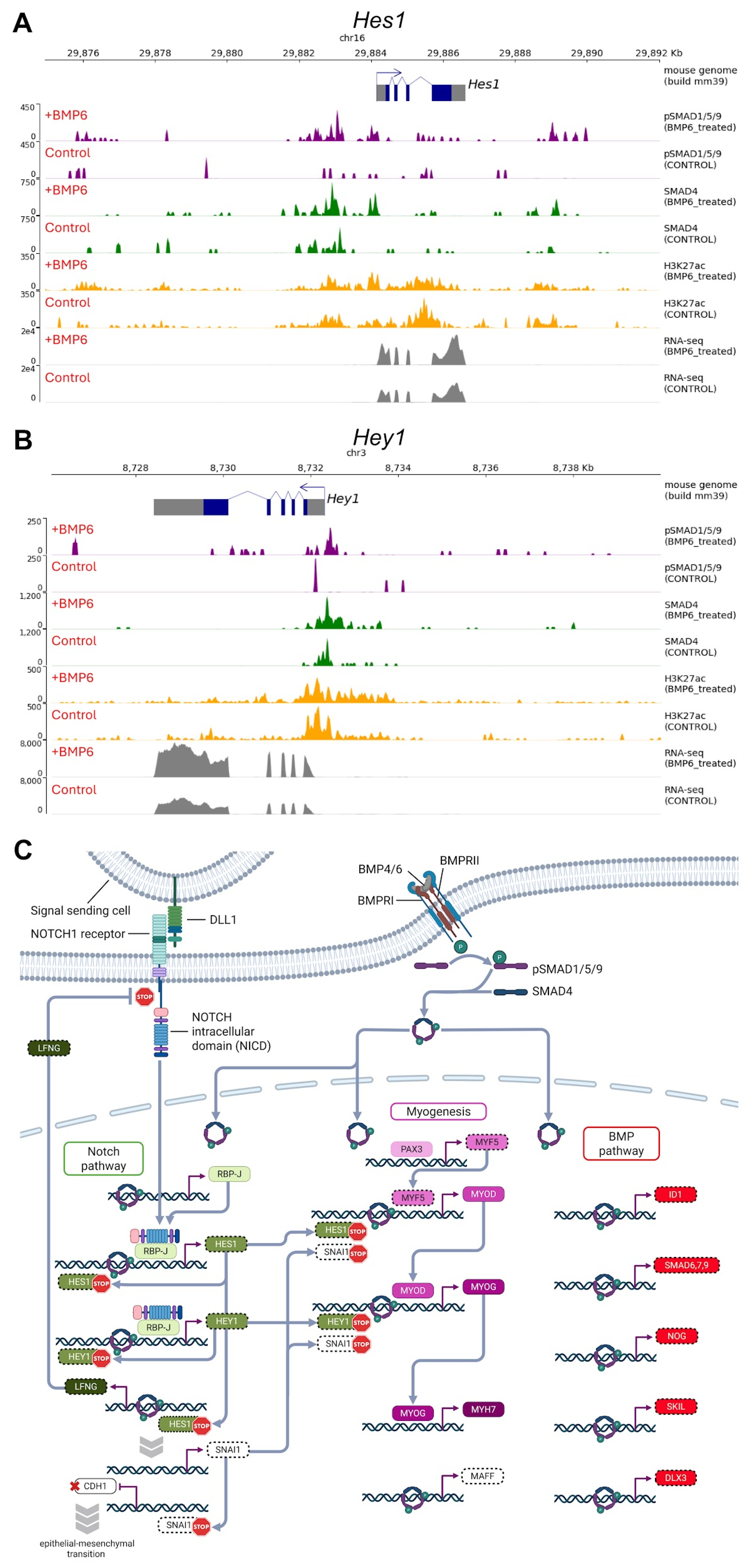 Preprints 203018 g004 Preprints 203018 g004