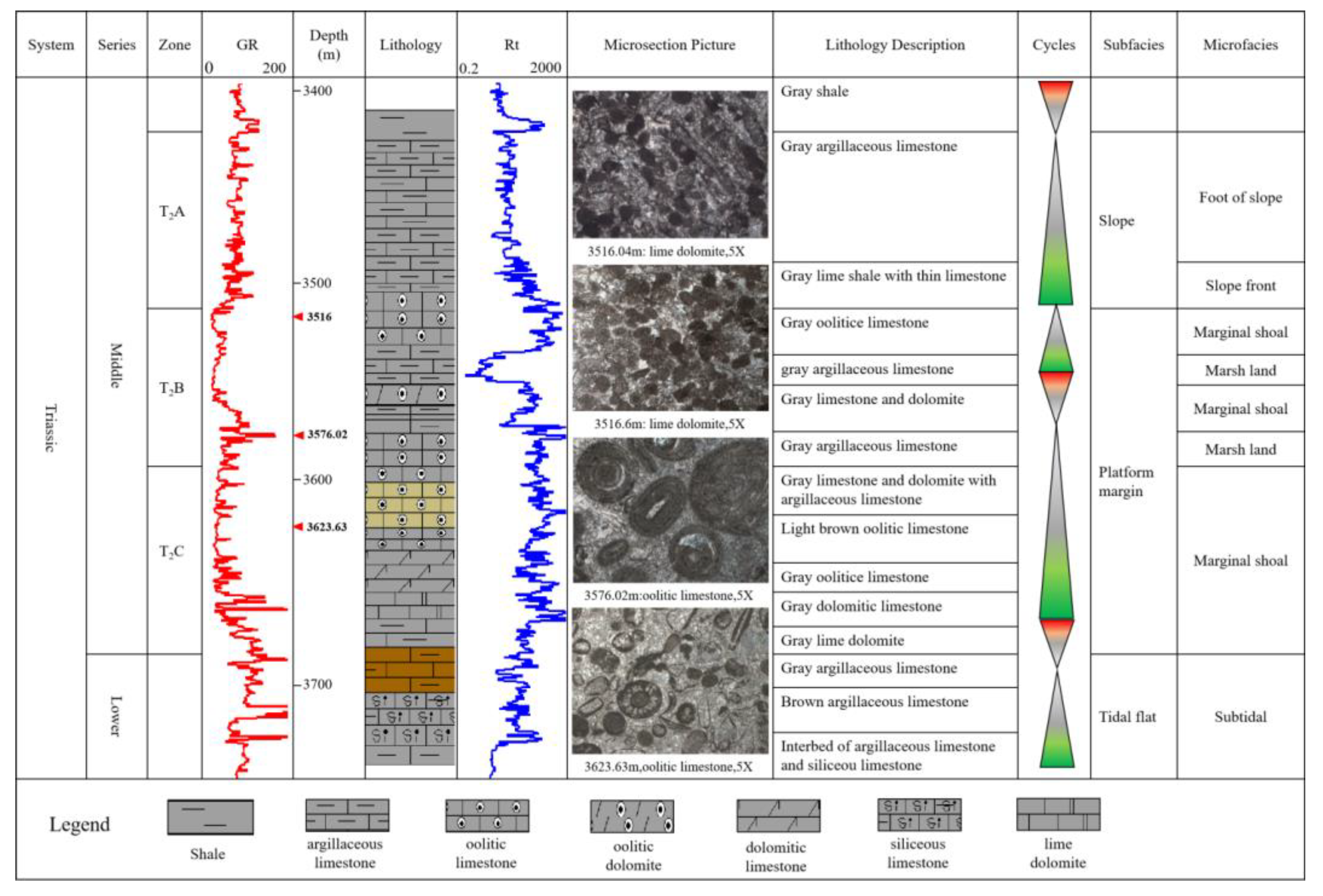 Preprints 162082 g008