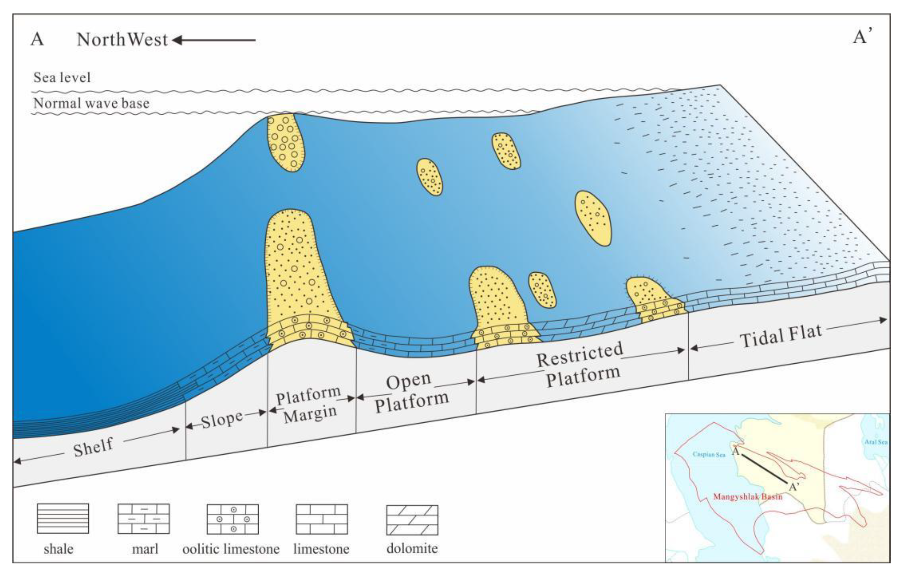 Preprints 162082 g012