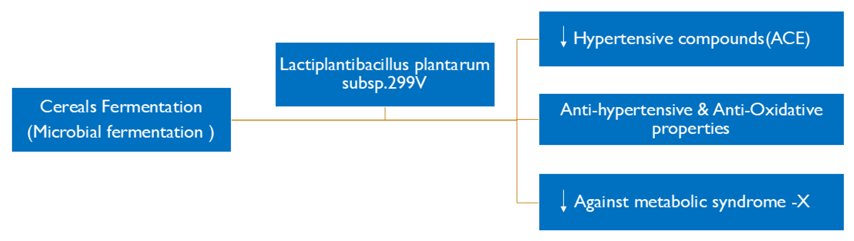 Preprints 162168 g002