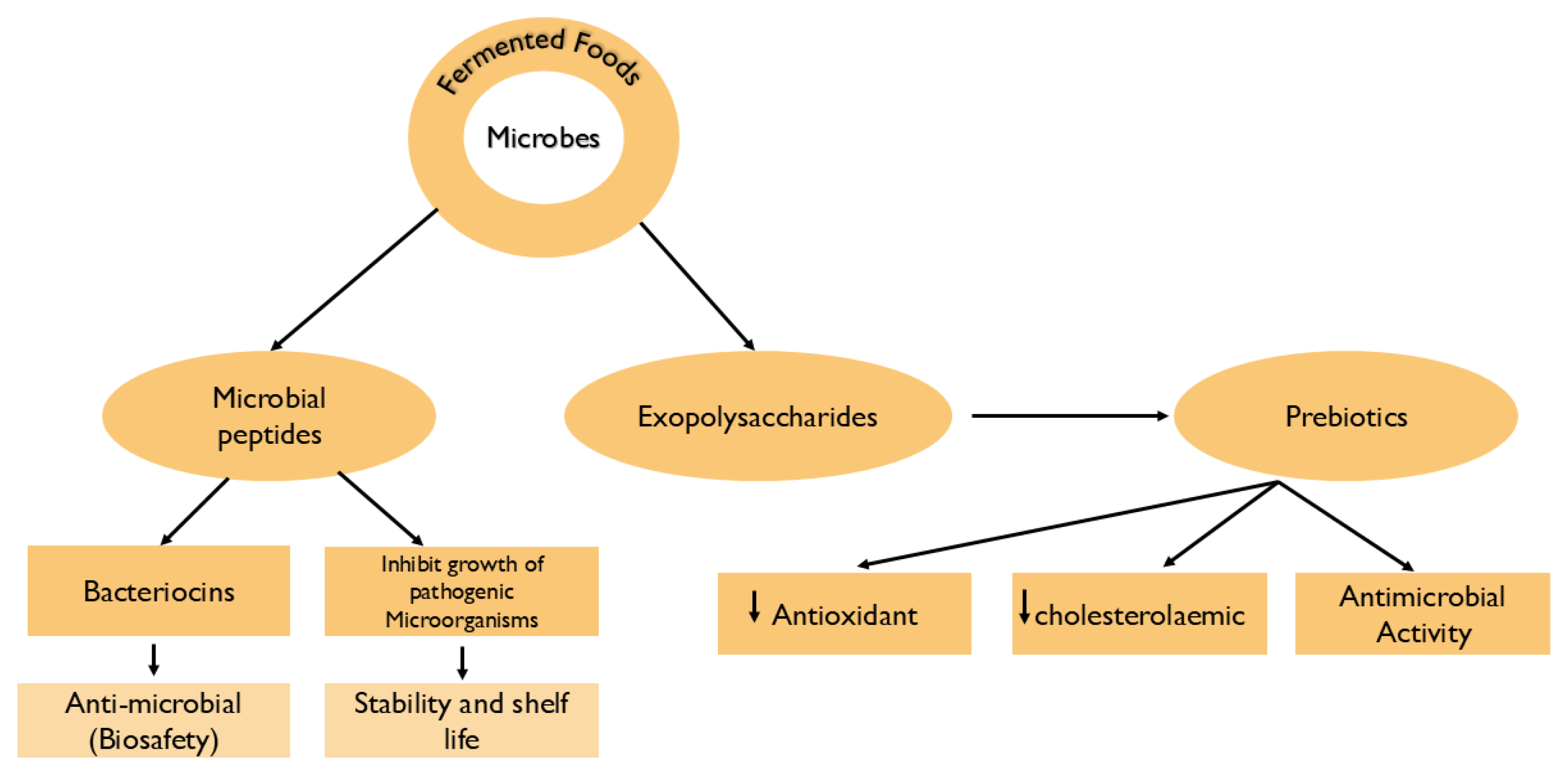 Preprints 162168 g003