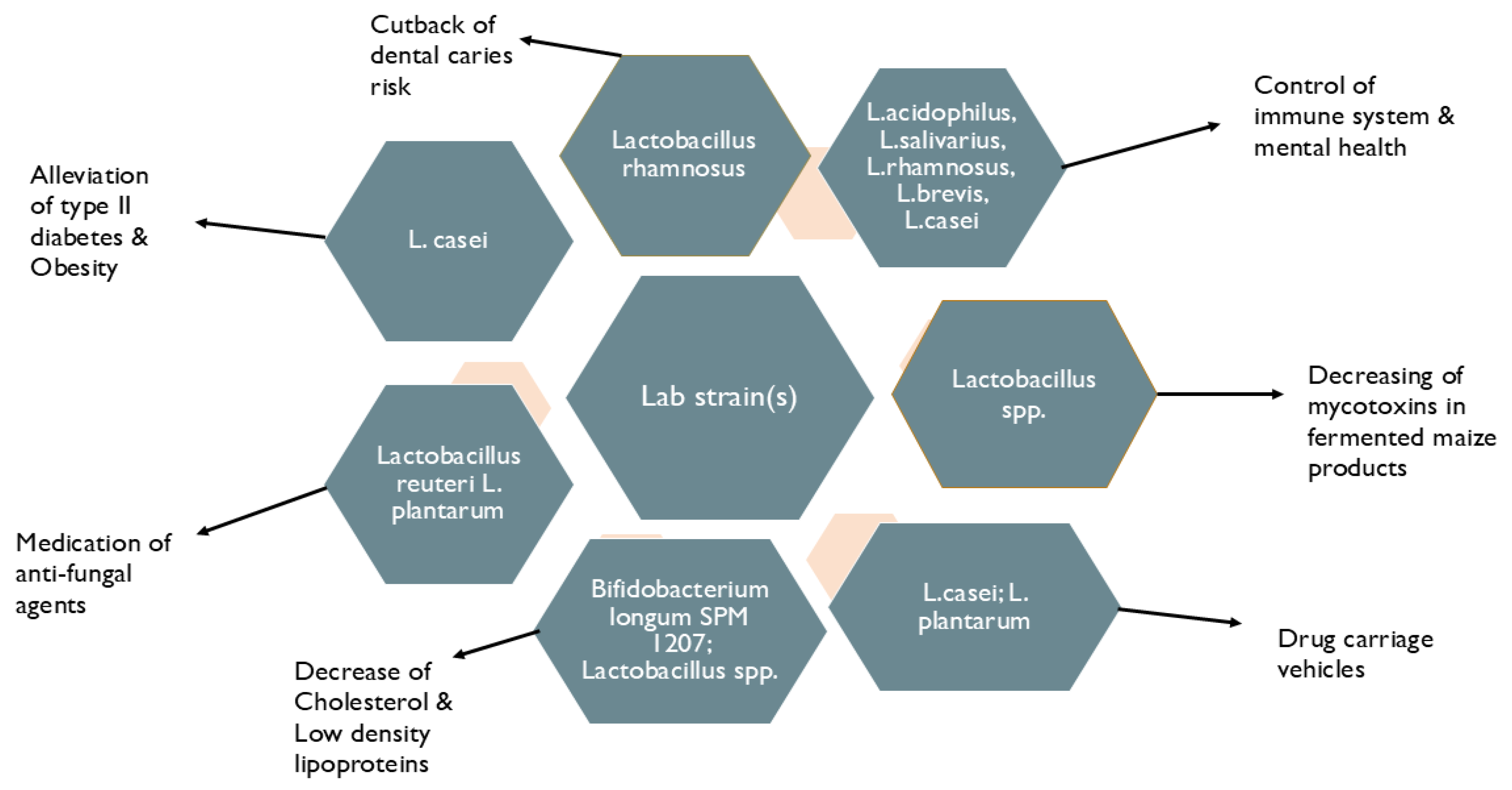 Preprints 162168 g004