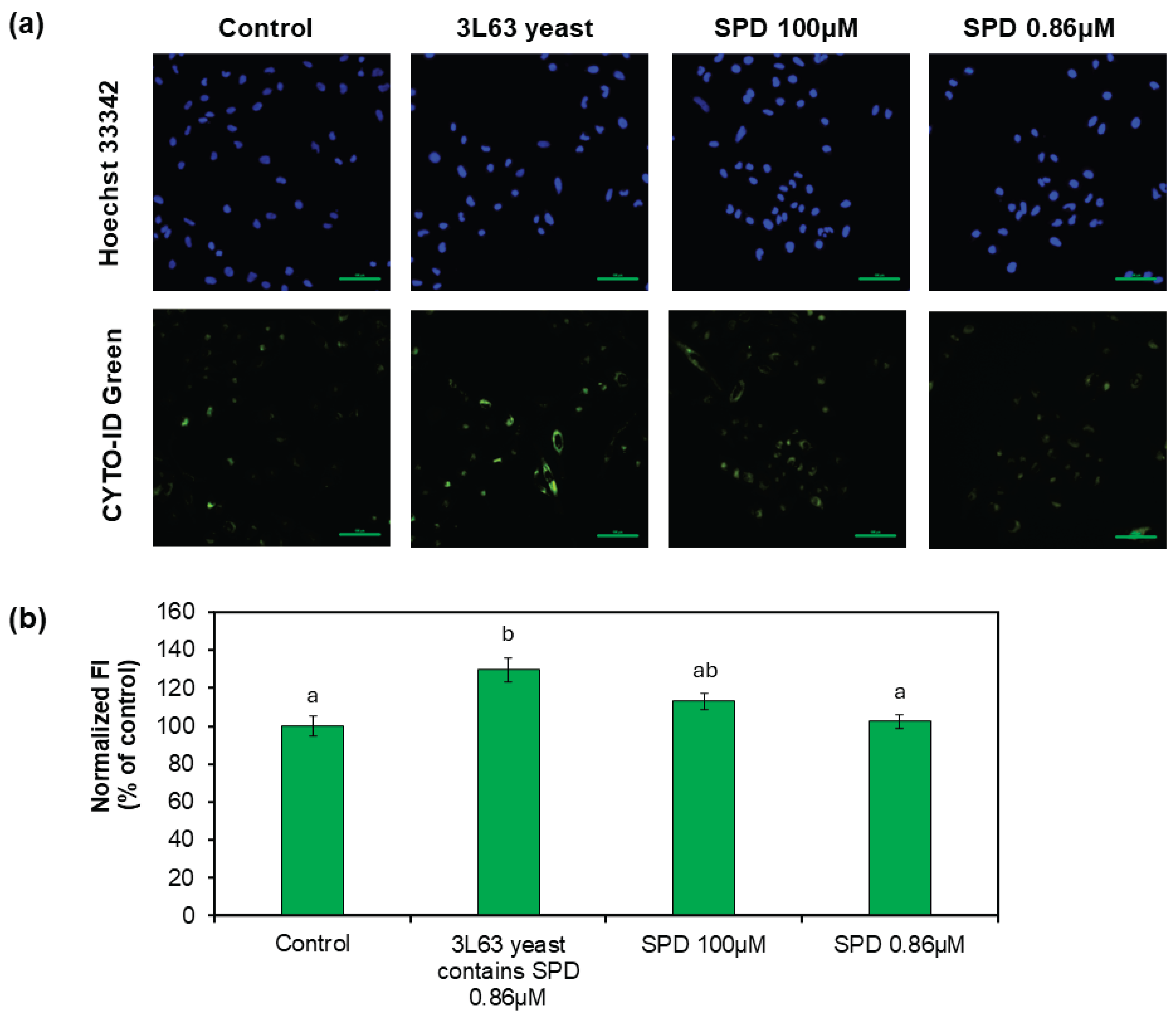 Preprints 173937 g005