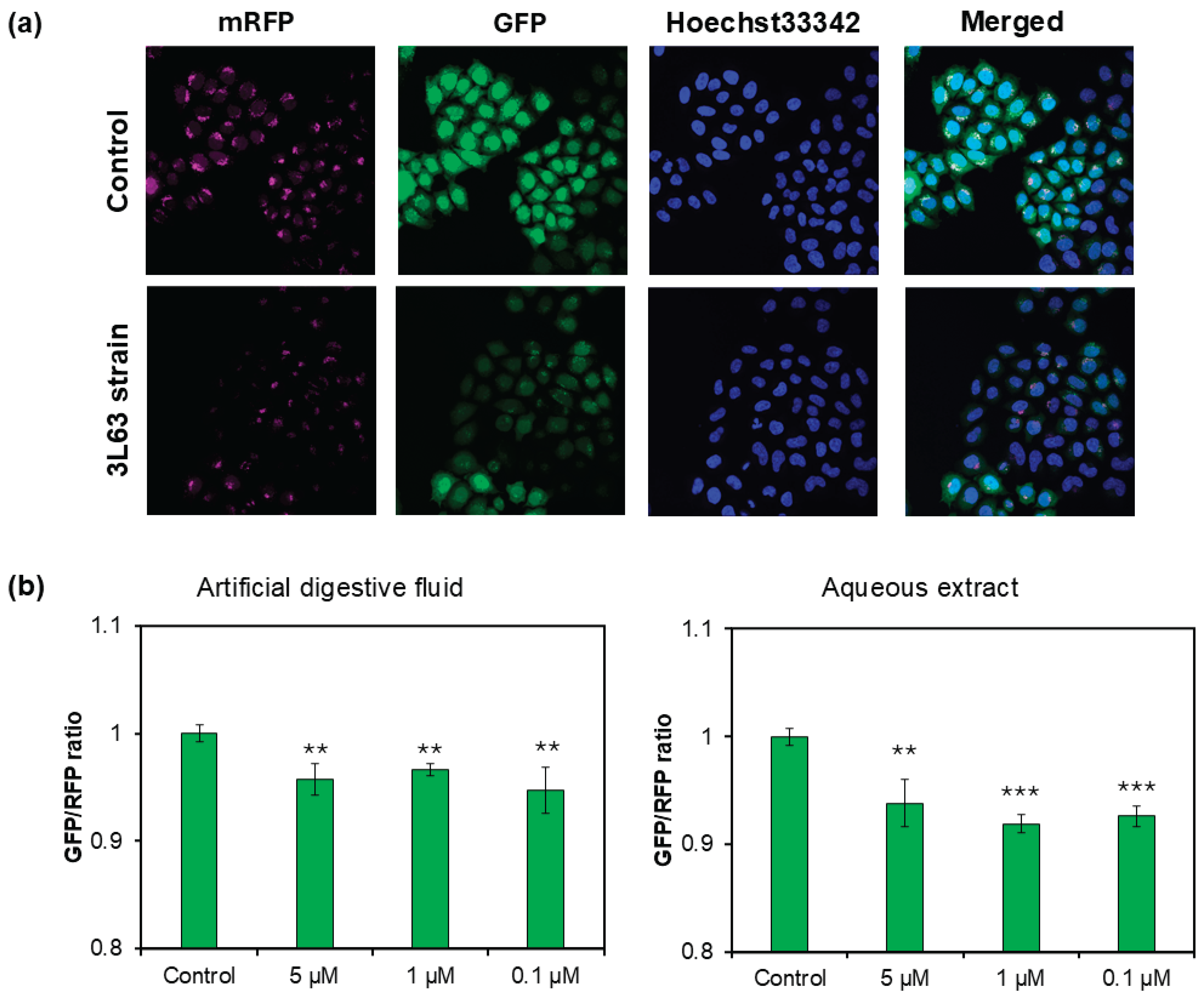 Preprints 173937 g006
