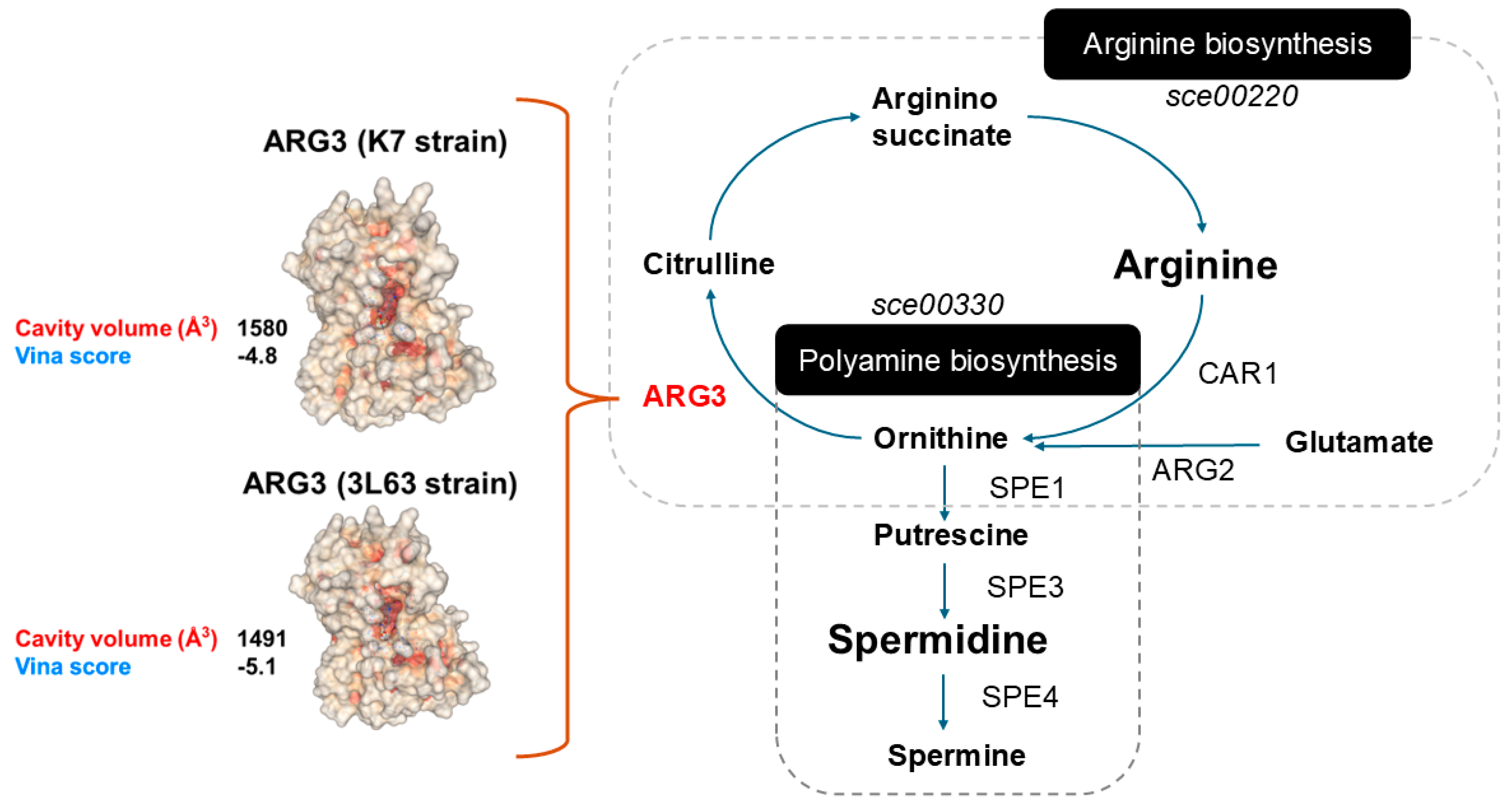 Preprints 173937 g007