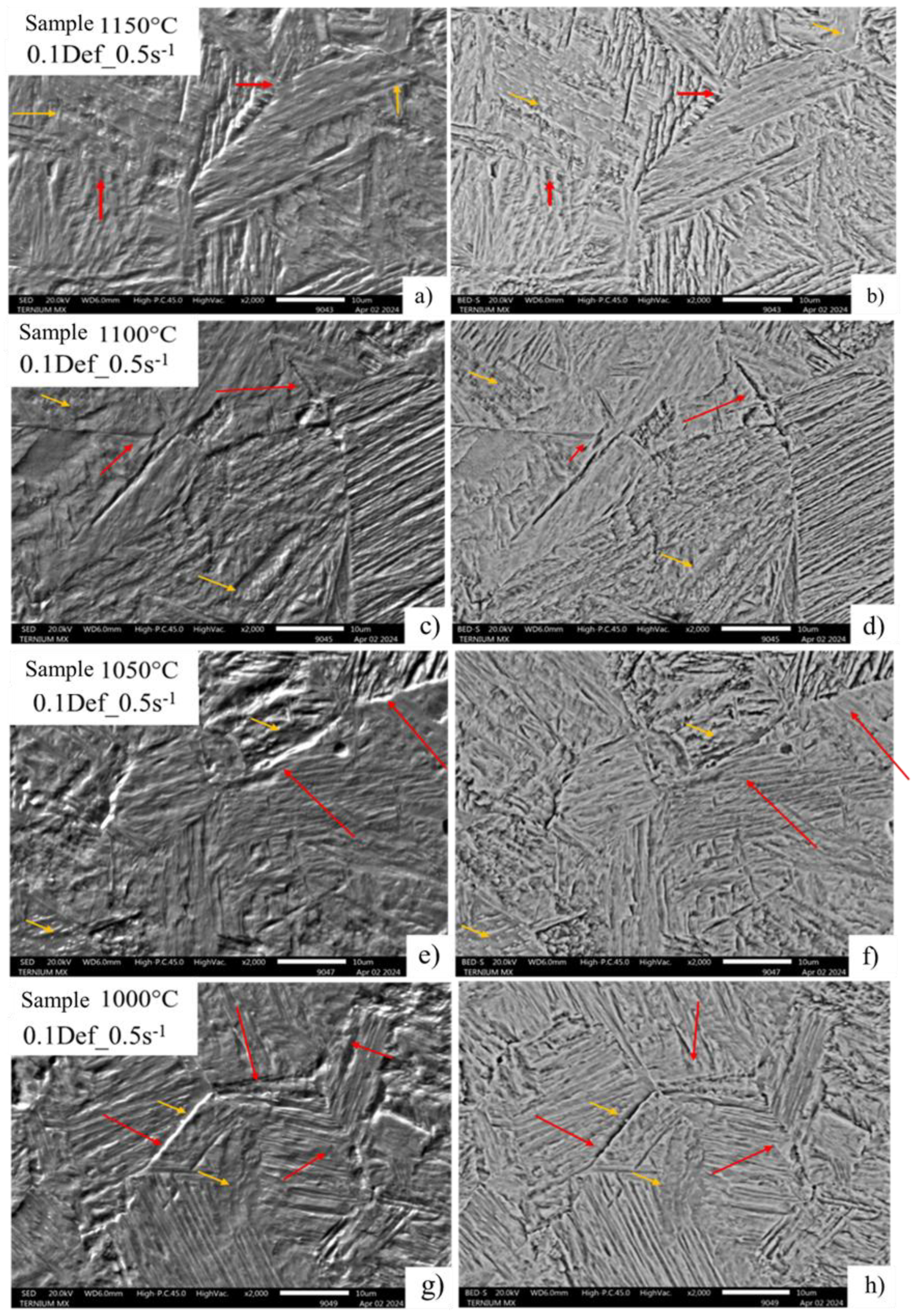 Preprints 176042 g008