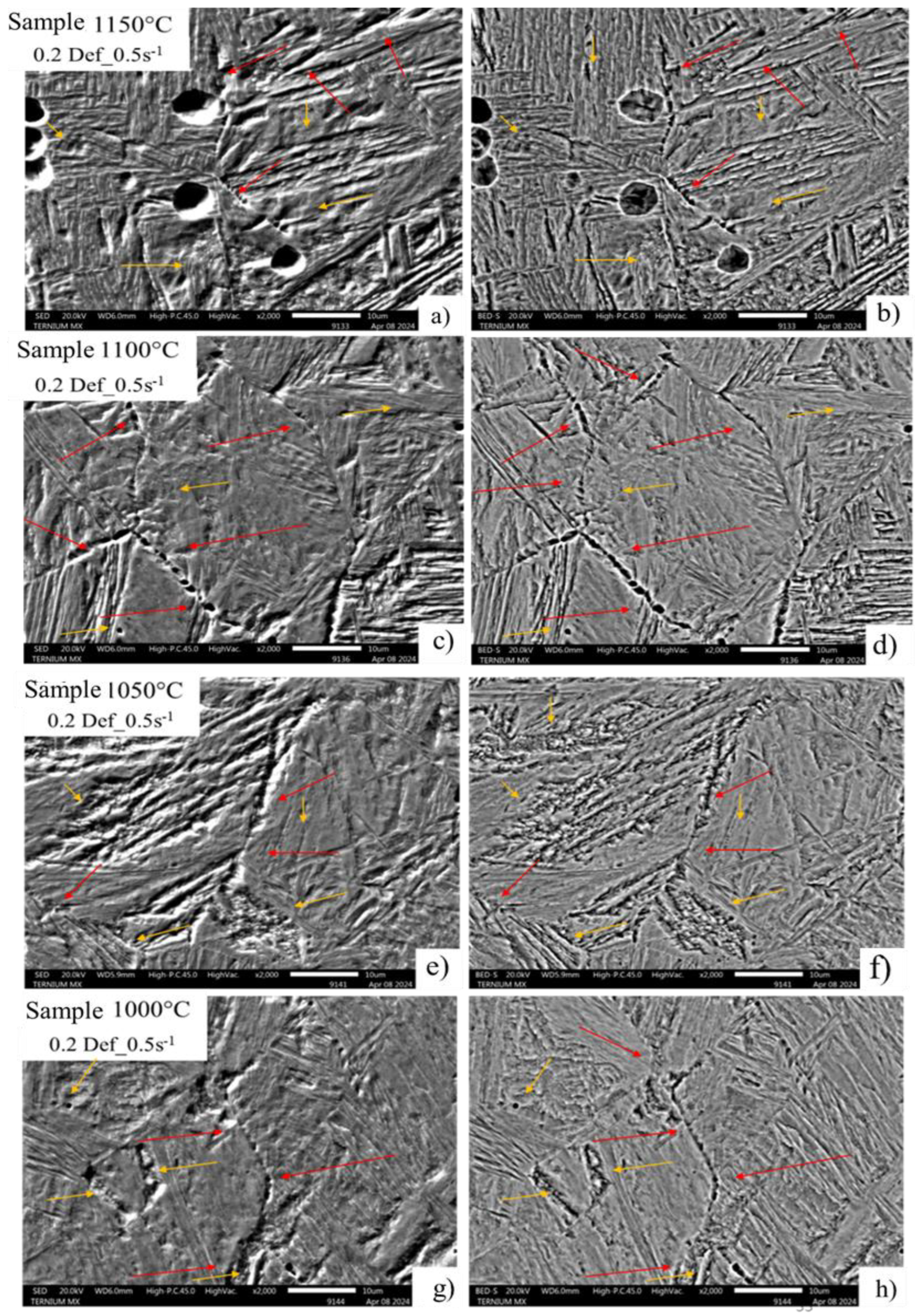 Preprints 176042 g011