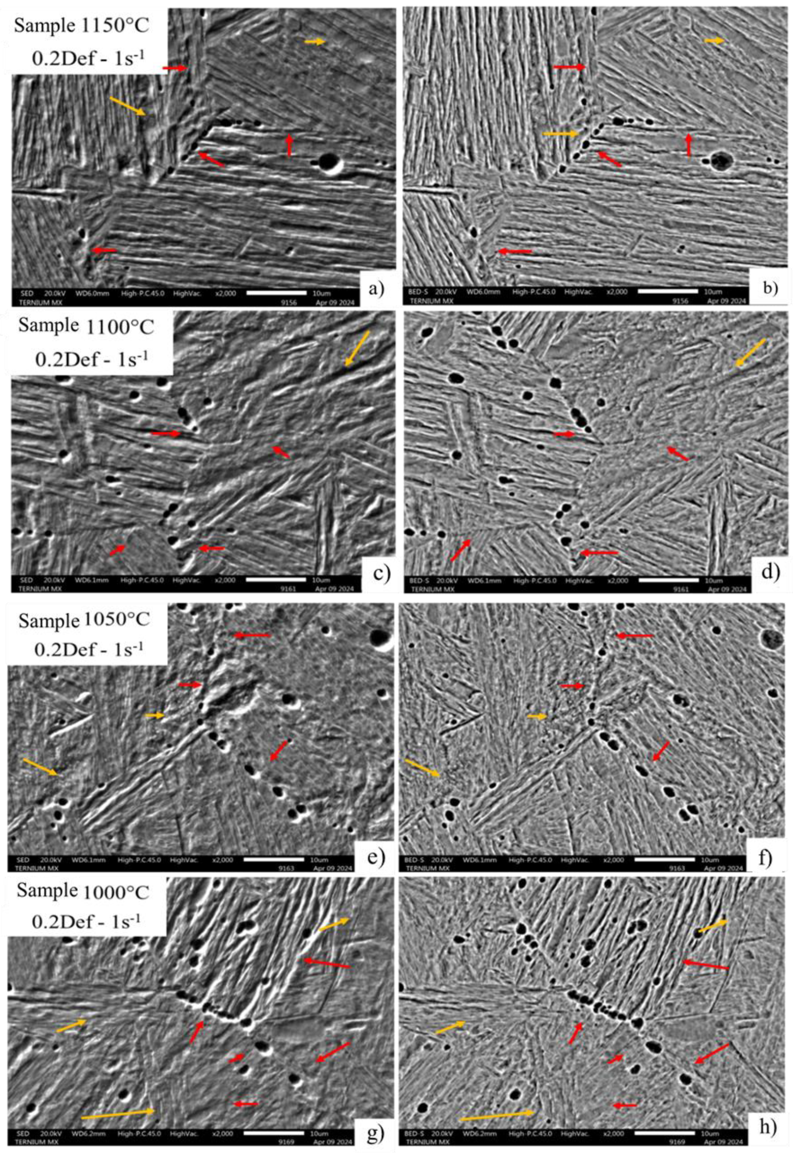 Preprints 176042 g012