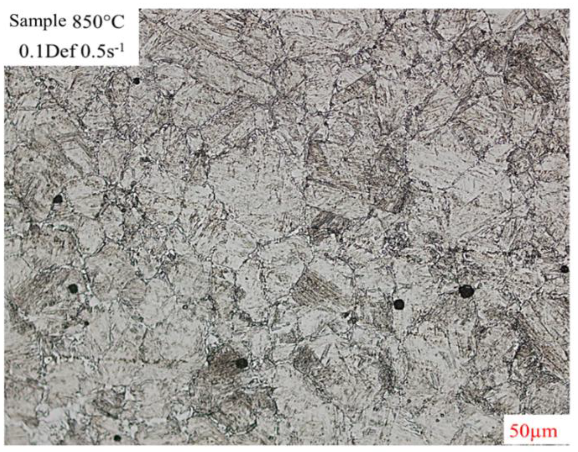 Preprints 176042 g013