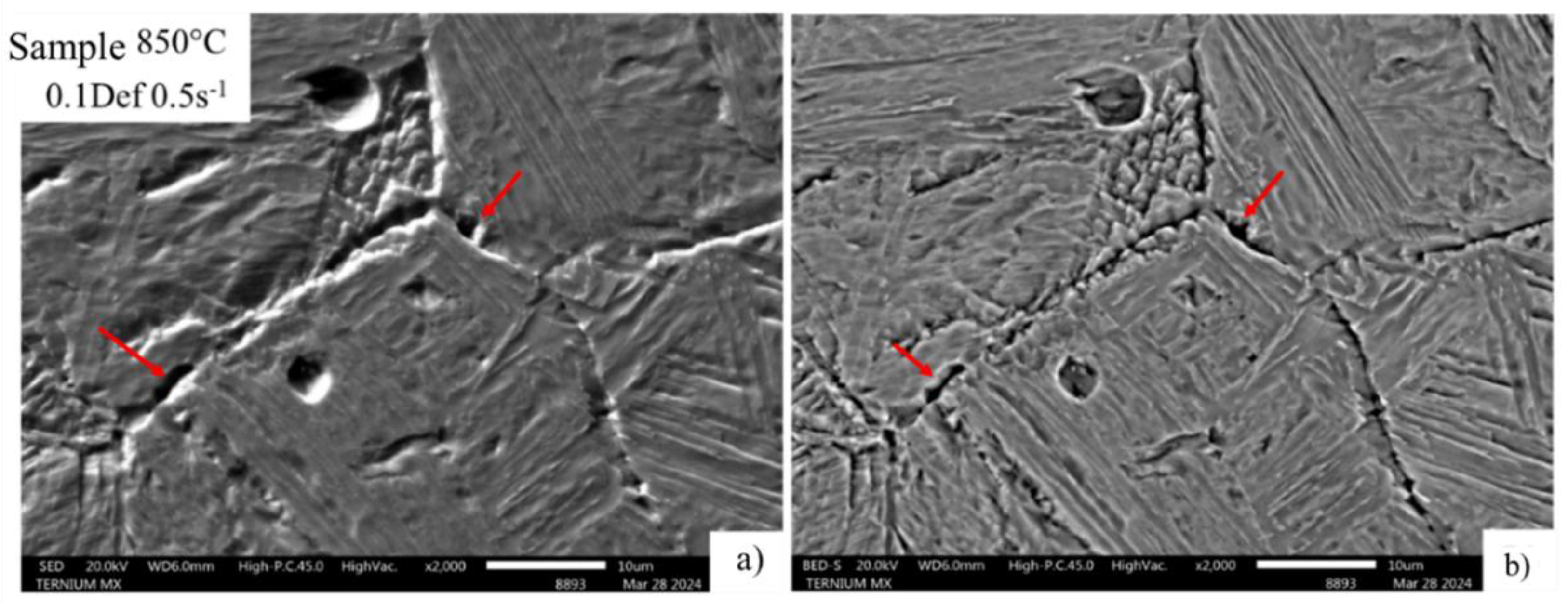 Preprints 176042 g014