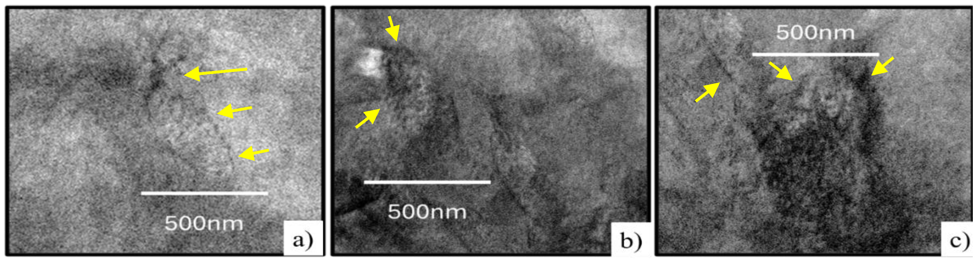 Preprints 176042 g018
