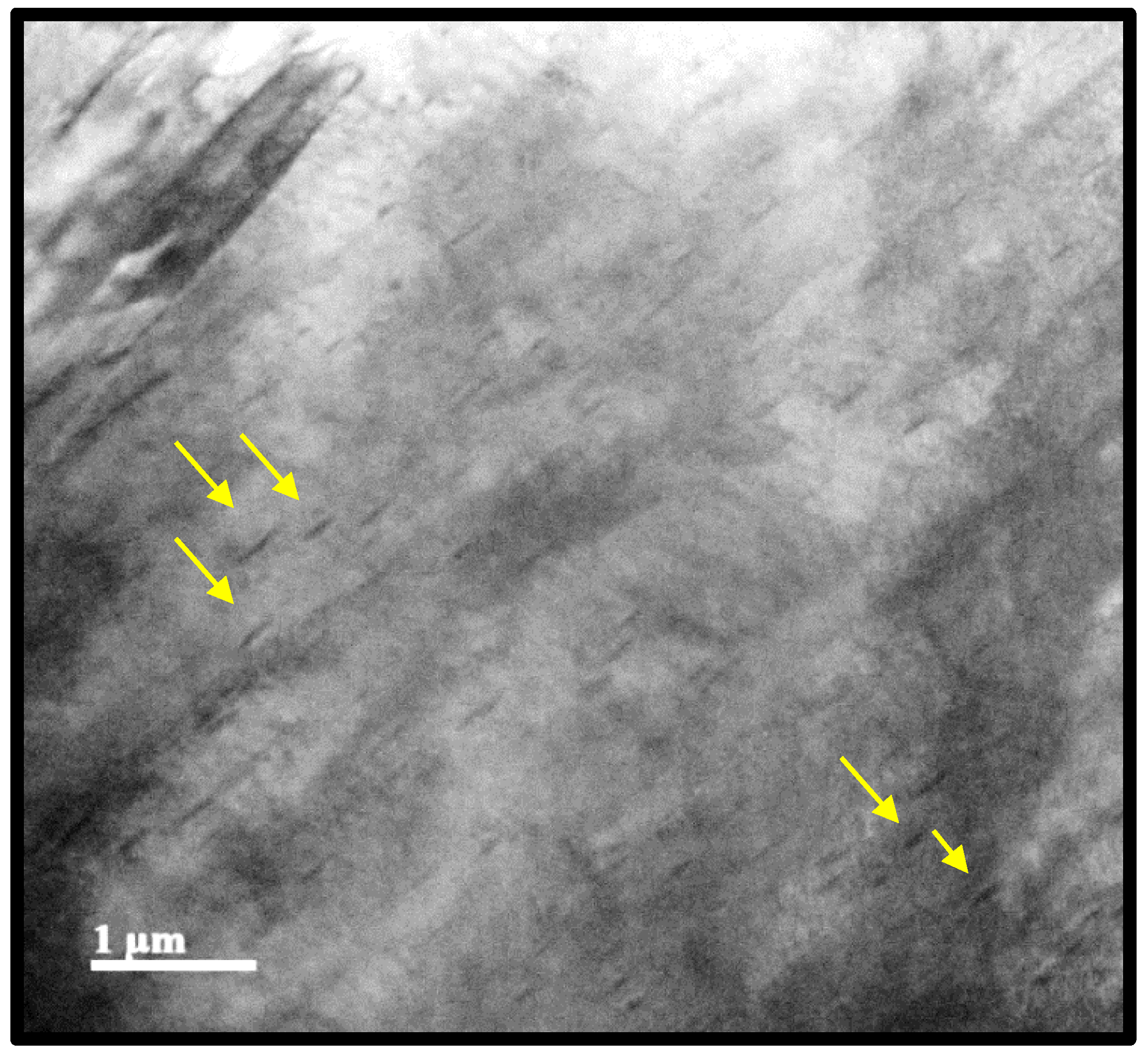 Preprints 176042 g020