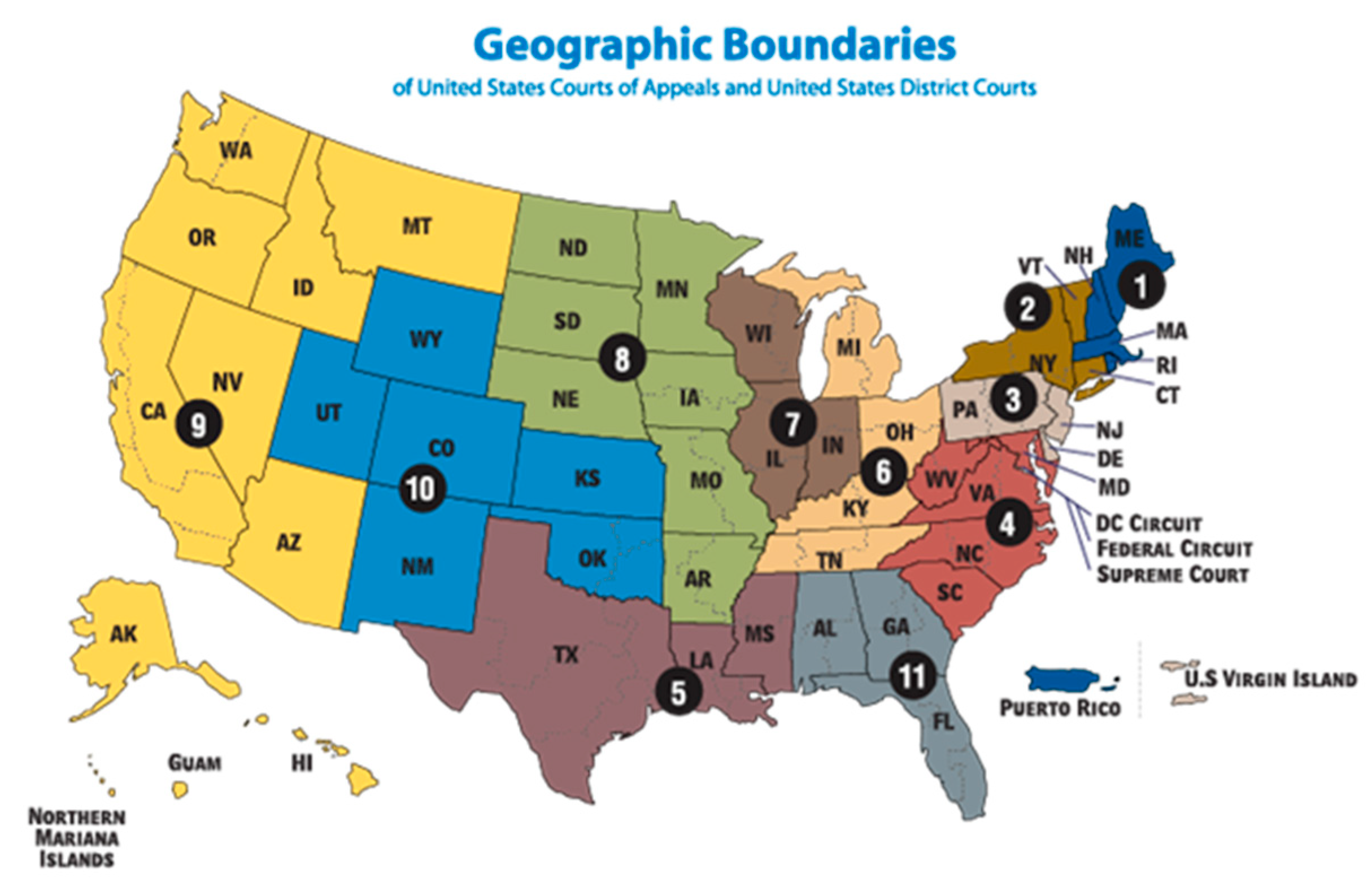 Preprints 152884 g001