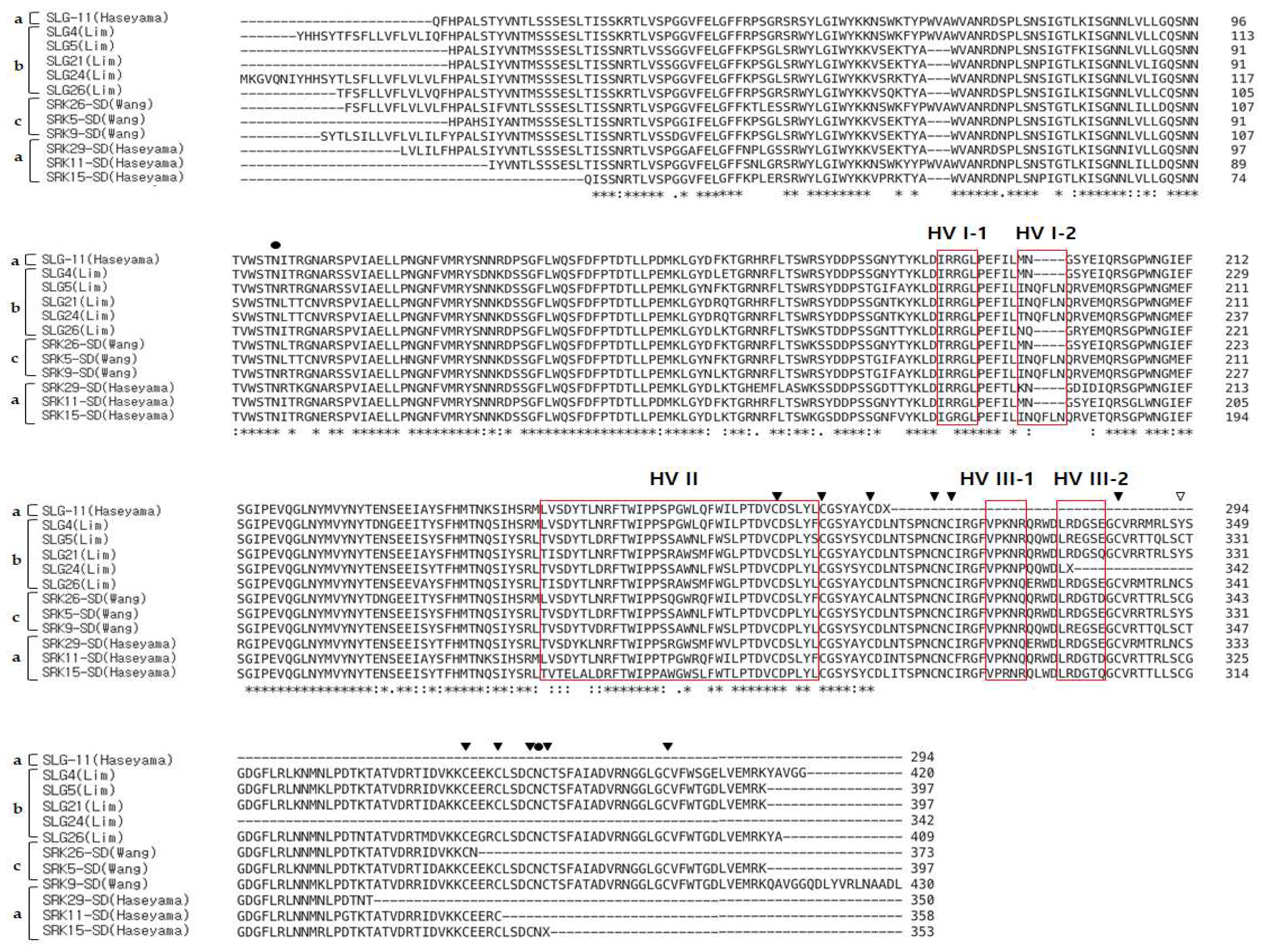 Preprints 98625 g002