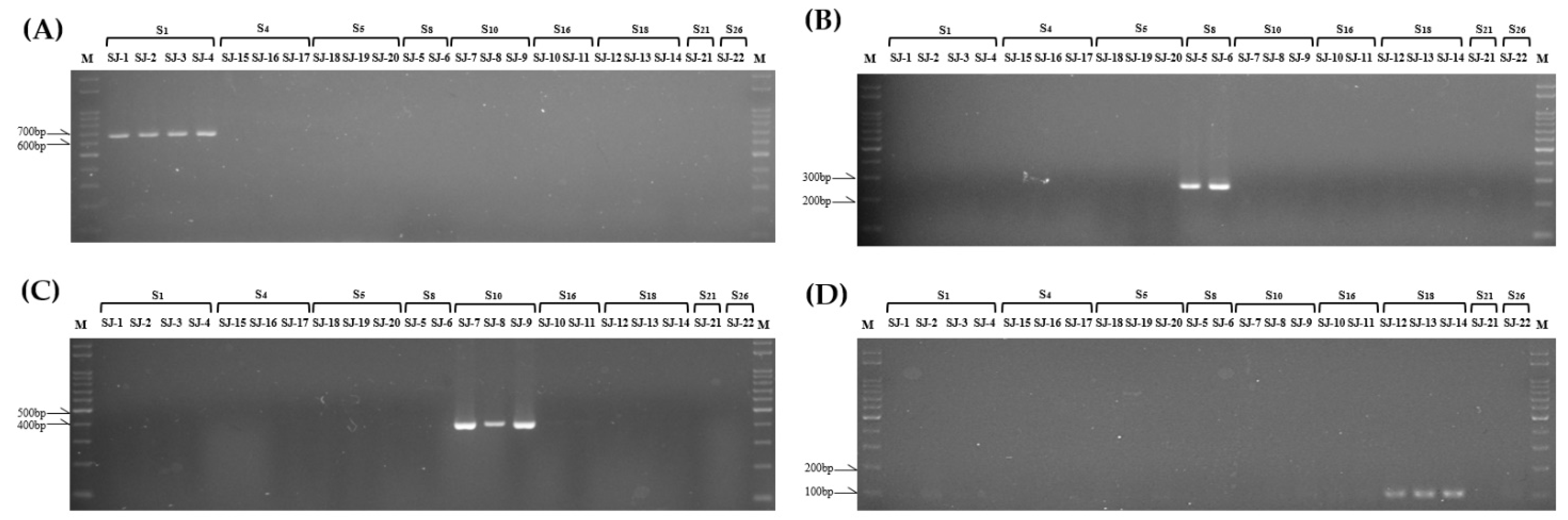 Preprints 98625 g003