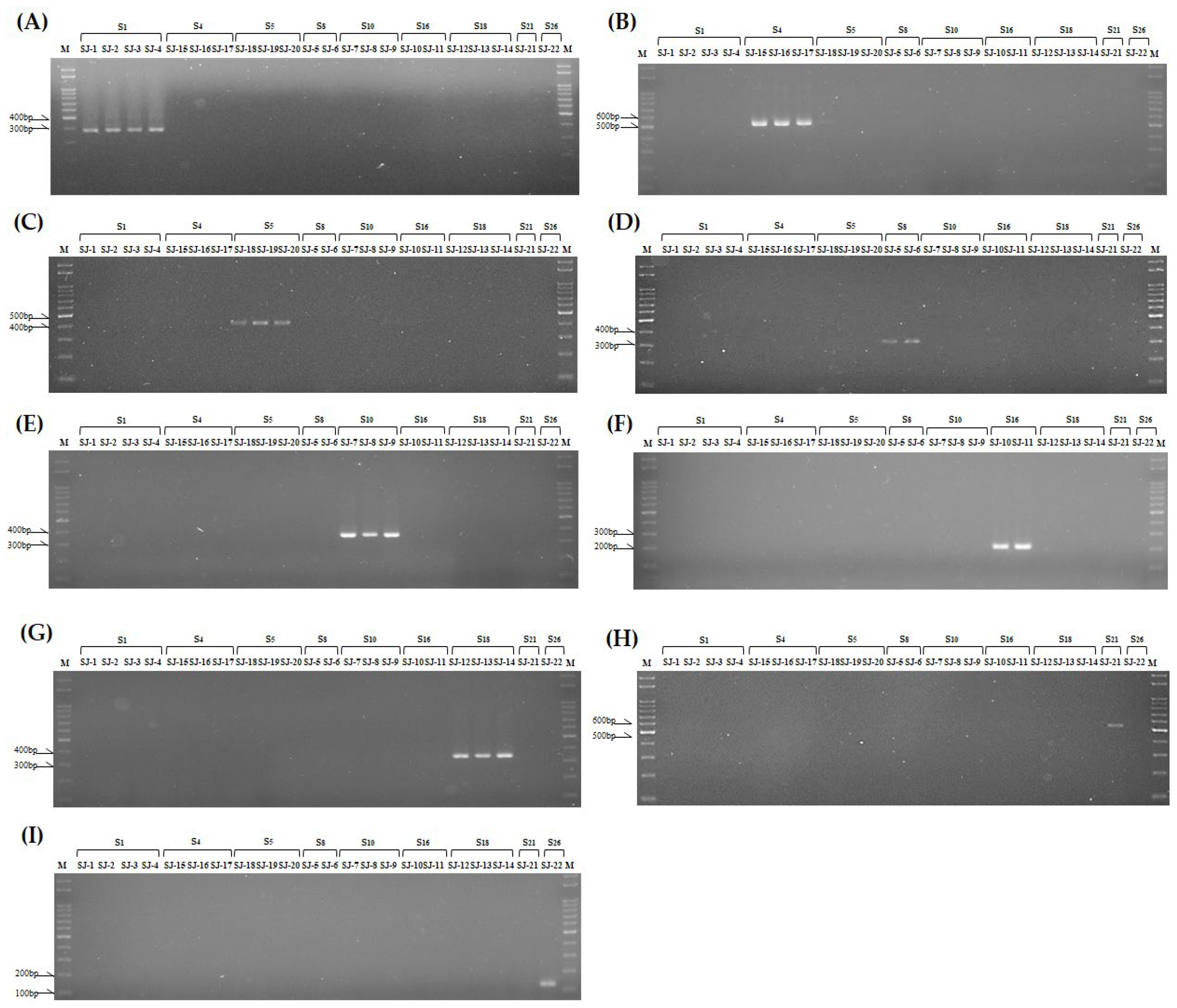 Preprints 98625 g004