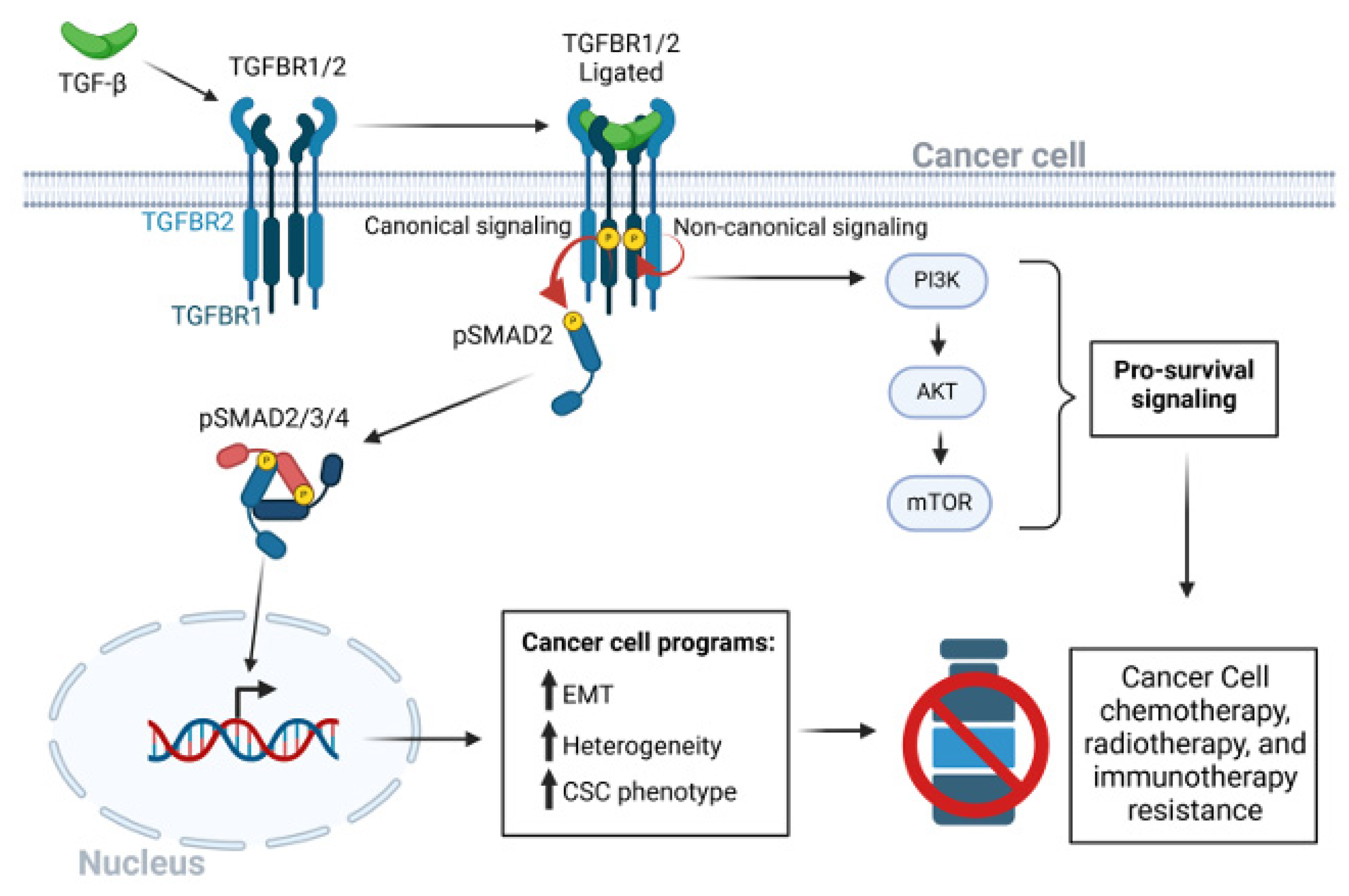 Preprints 171621 g001