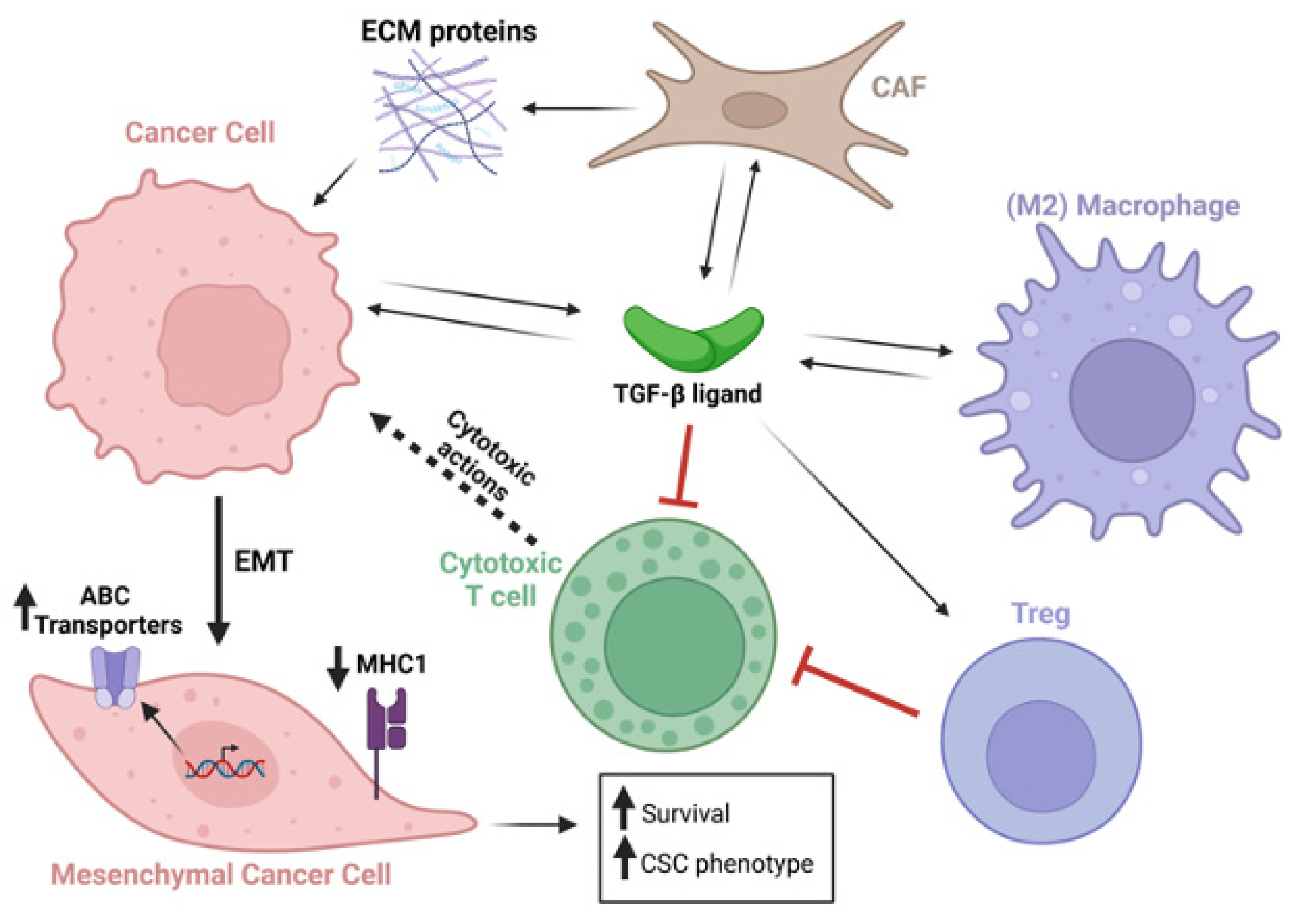 Preprints 171621 g002