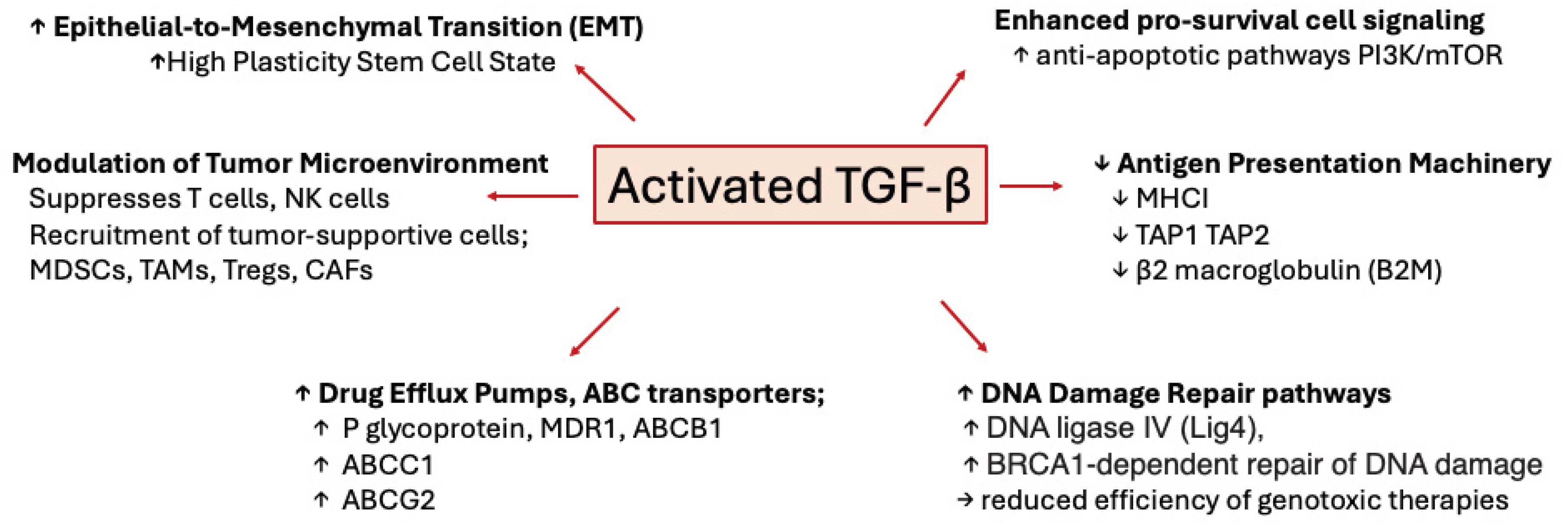 Preprints 171621 g003