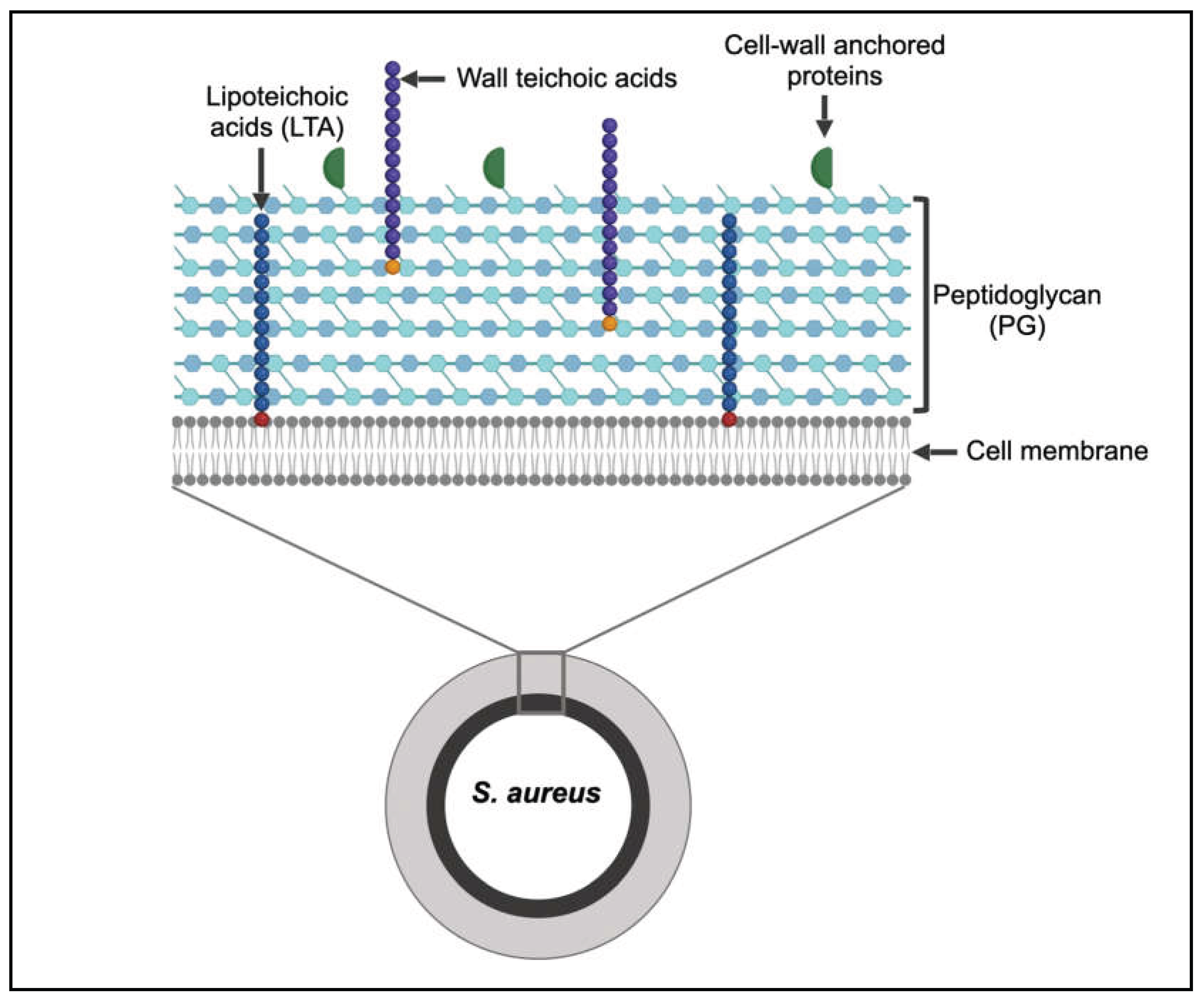 Preprints 194240 g001