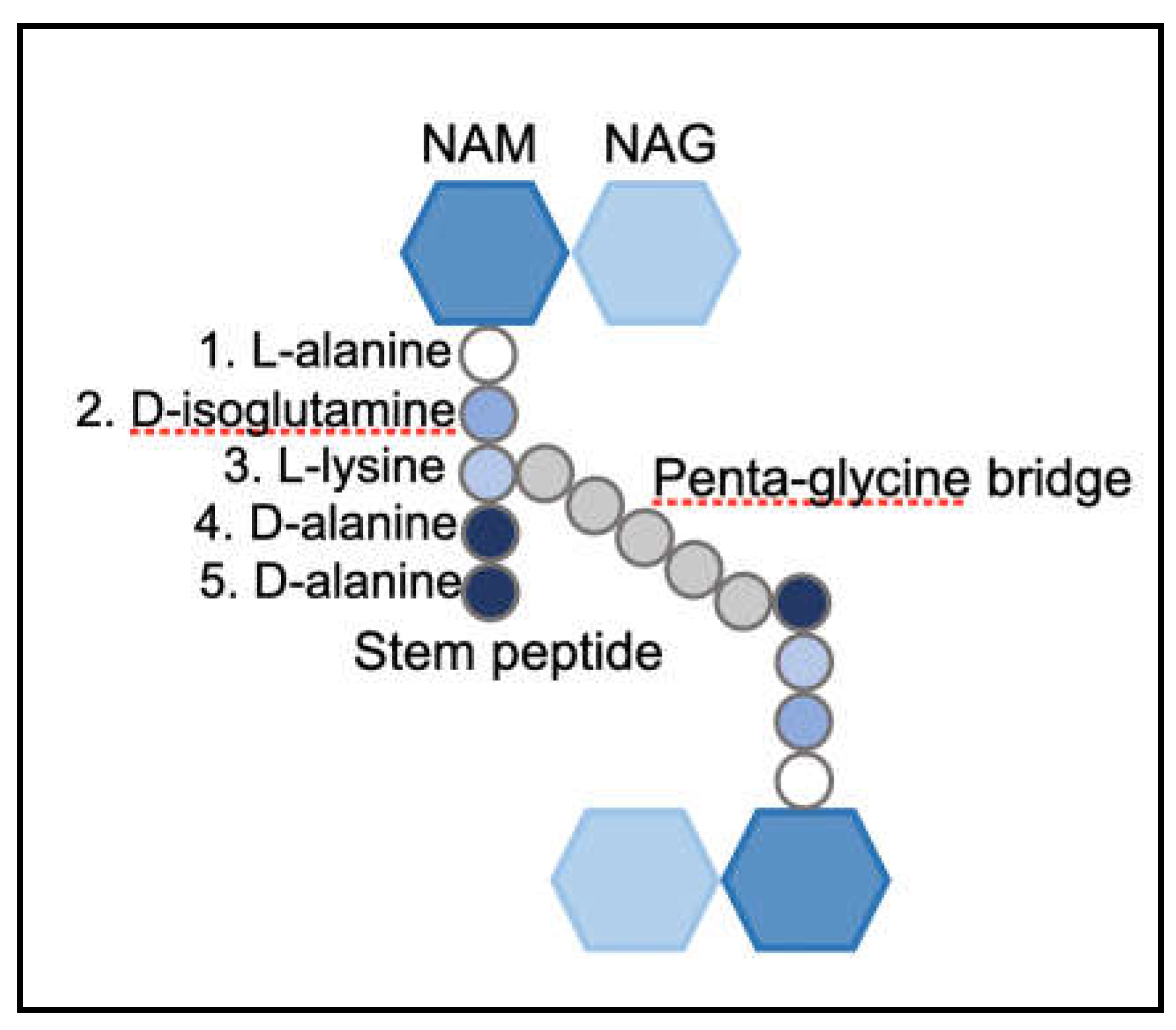 Preprints 194240 g002