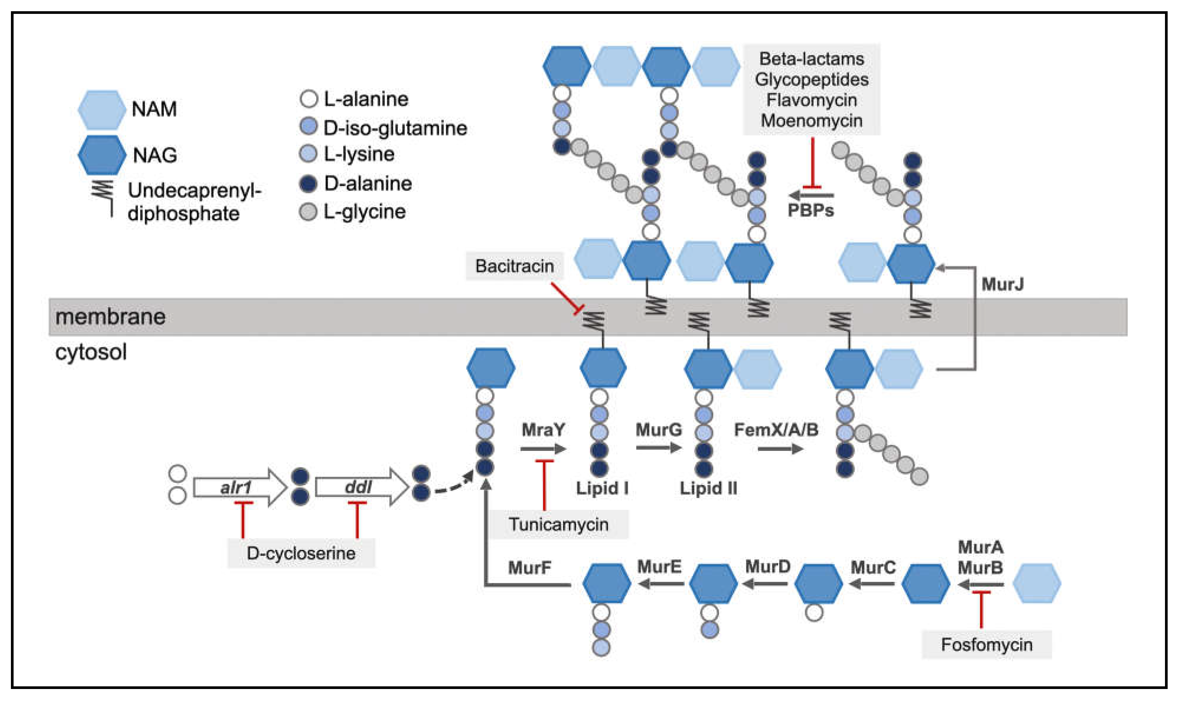Preprints 194240 g004