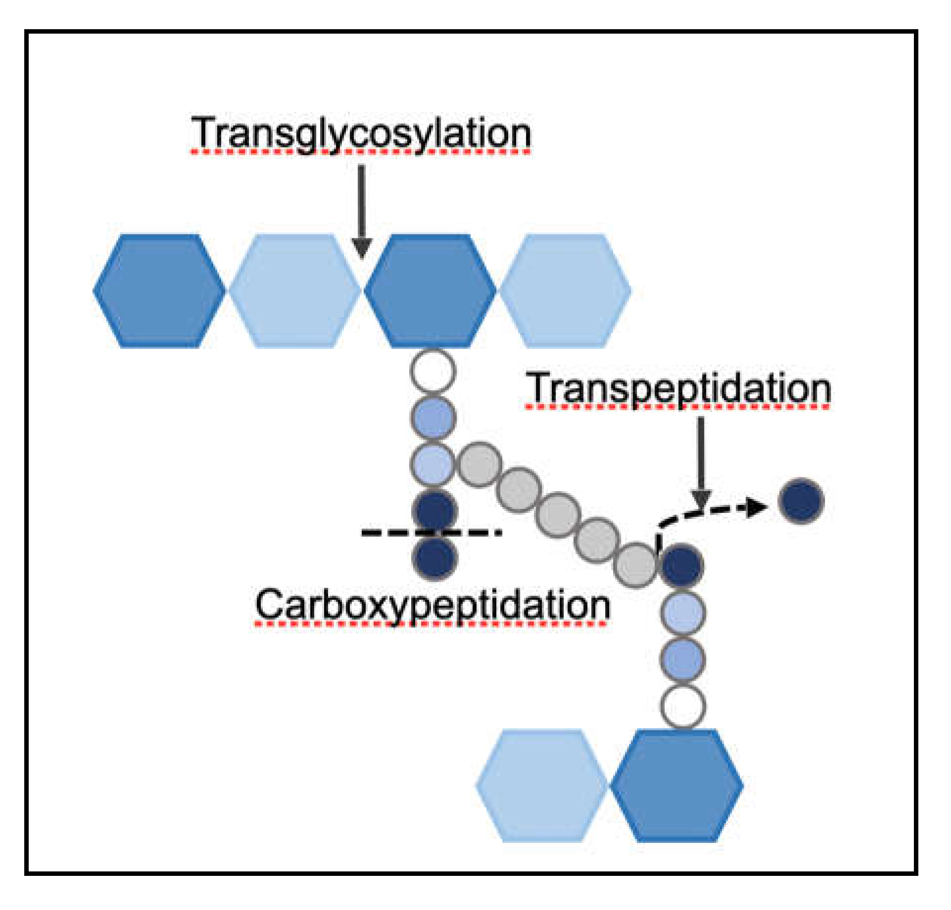 Preprints 194240 g005