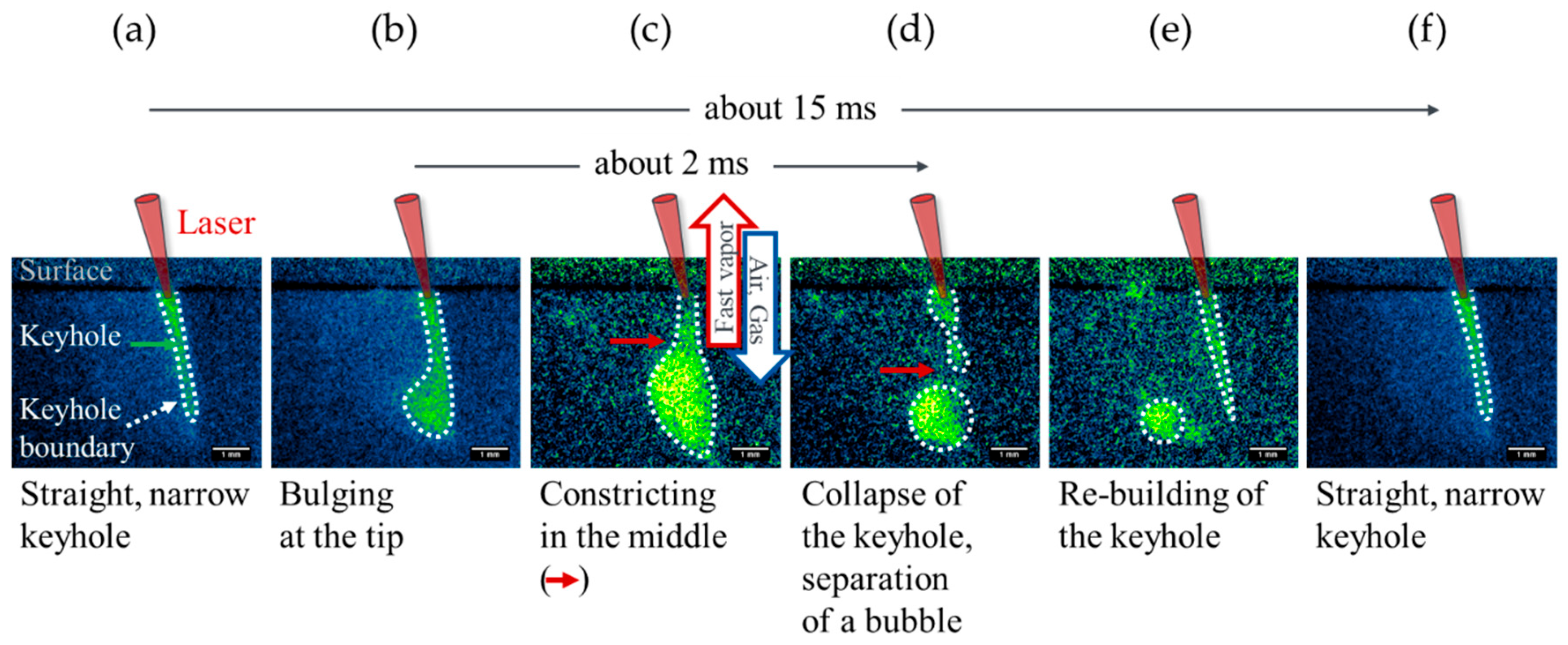 Preprints 196540 g004