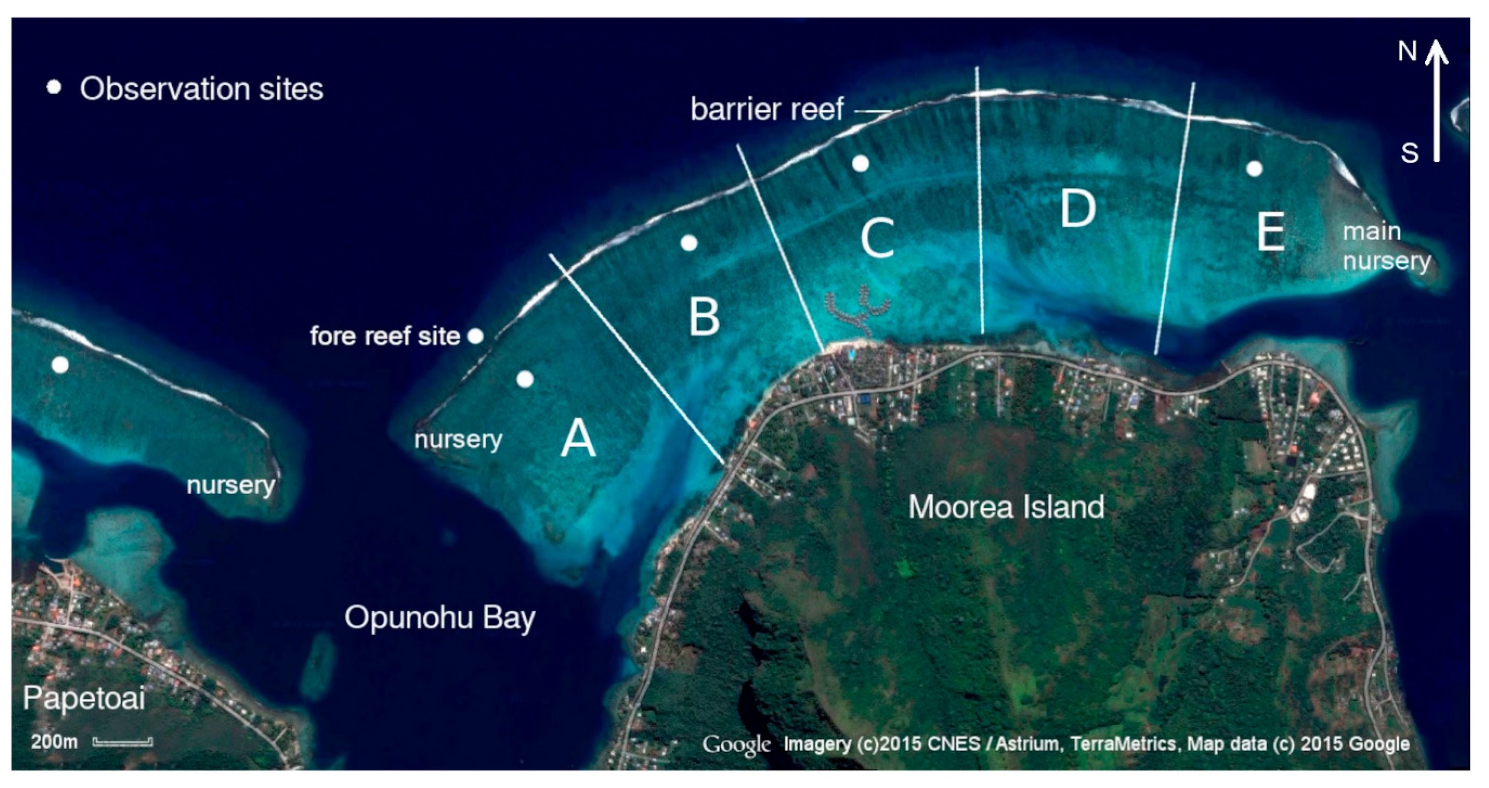 Preprints 186758 g001