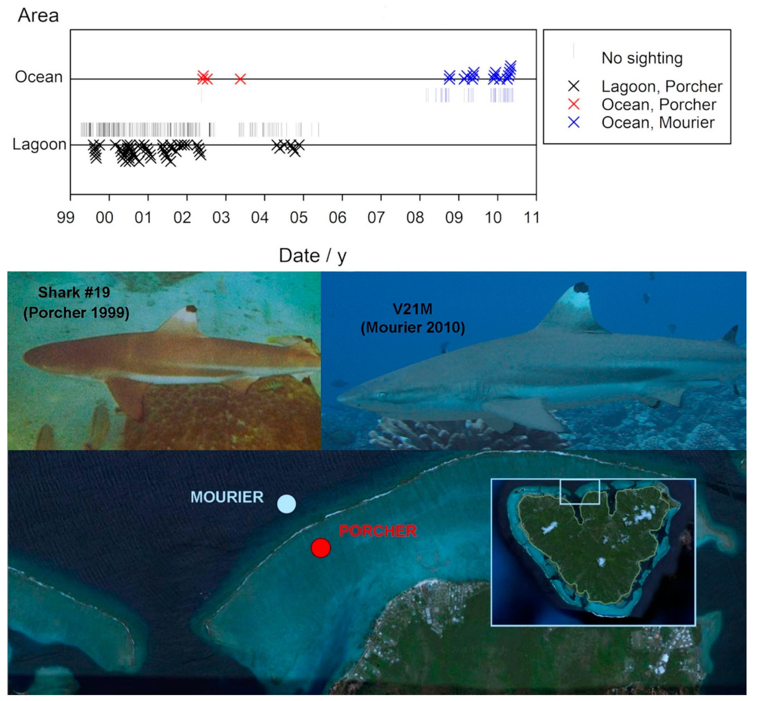 Preprints 186758 g004