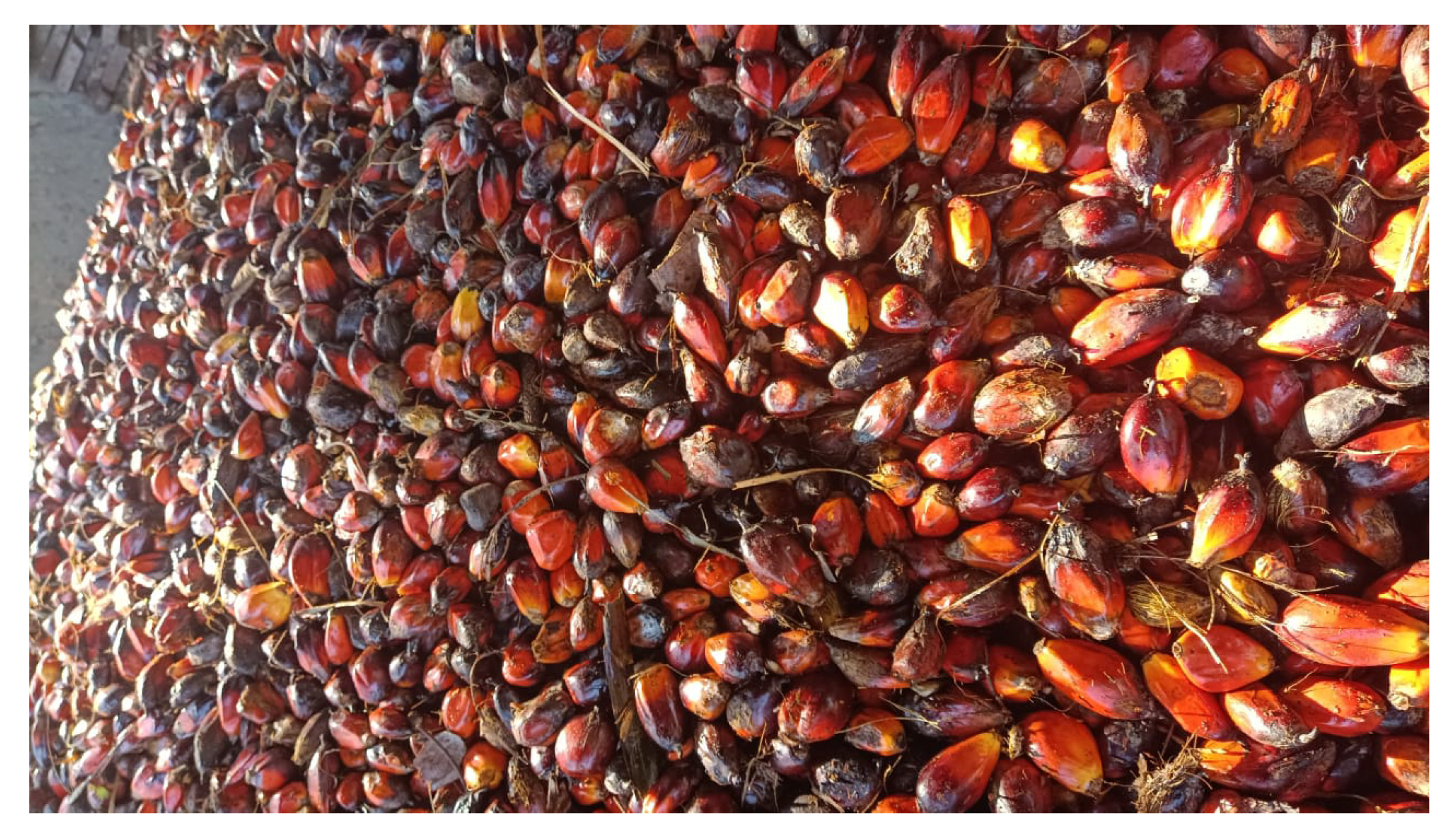 Preprints 182719 g003