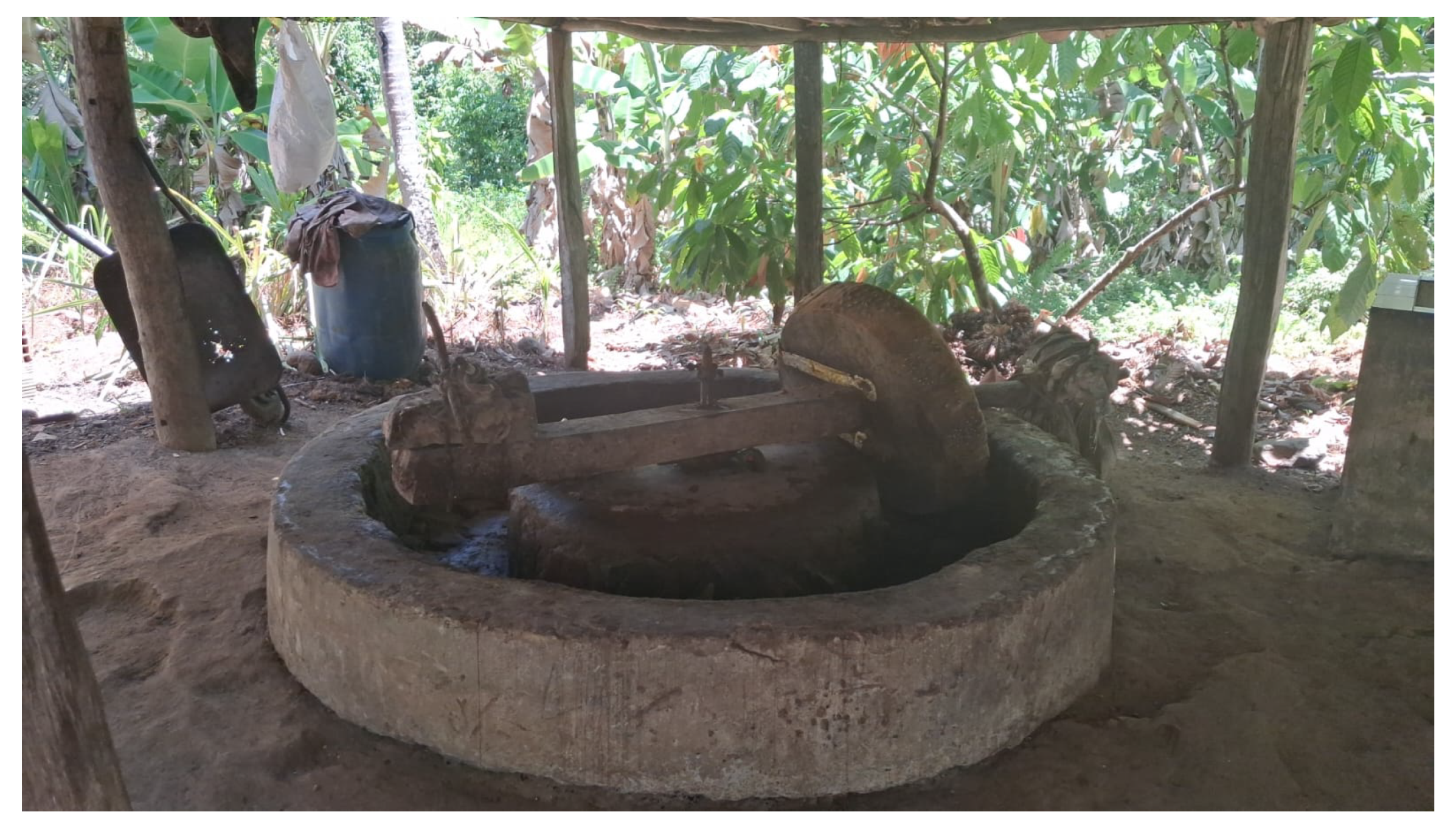 Preprints 182719 g011