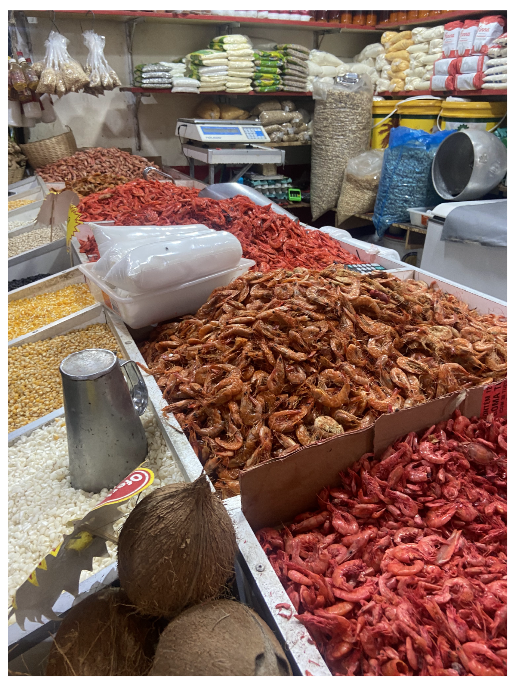 Preprints 182719 g012