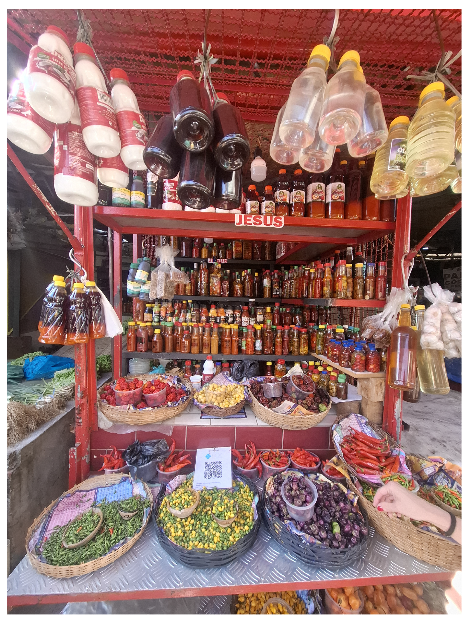 Preprints 182719 g013