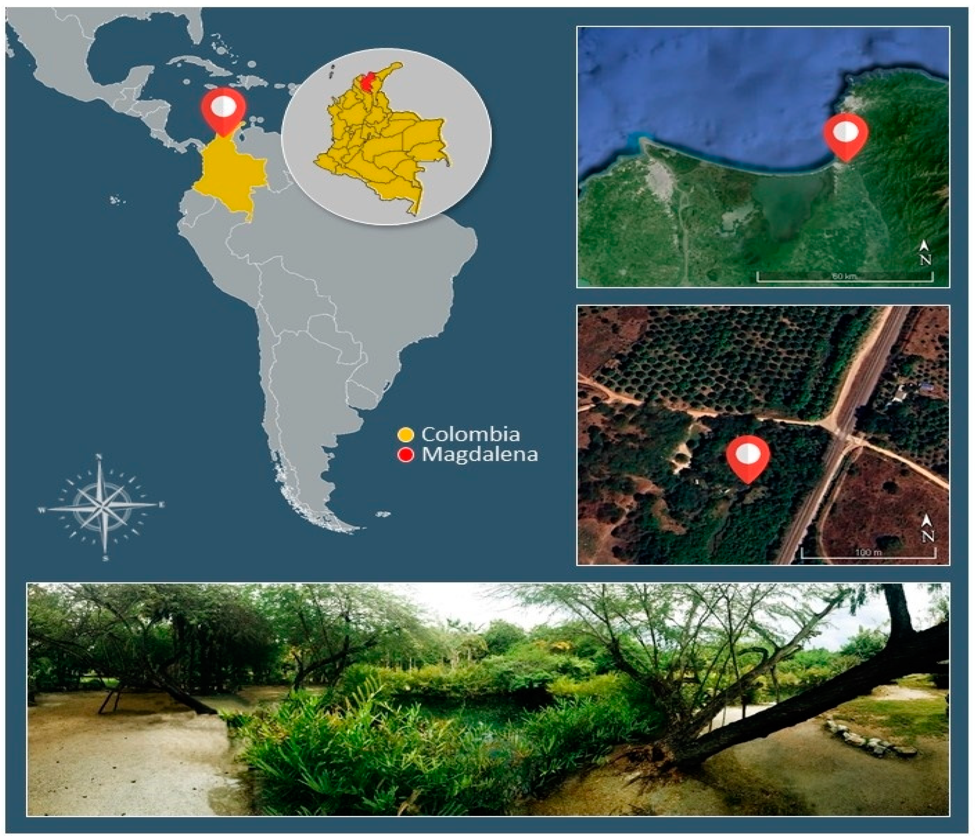 Preprints 121356 g001